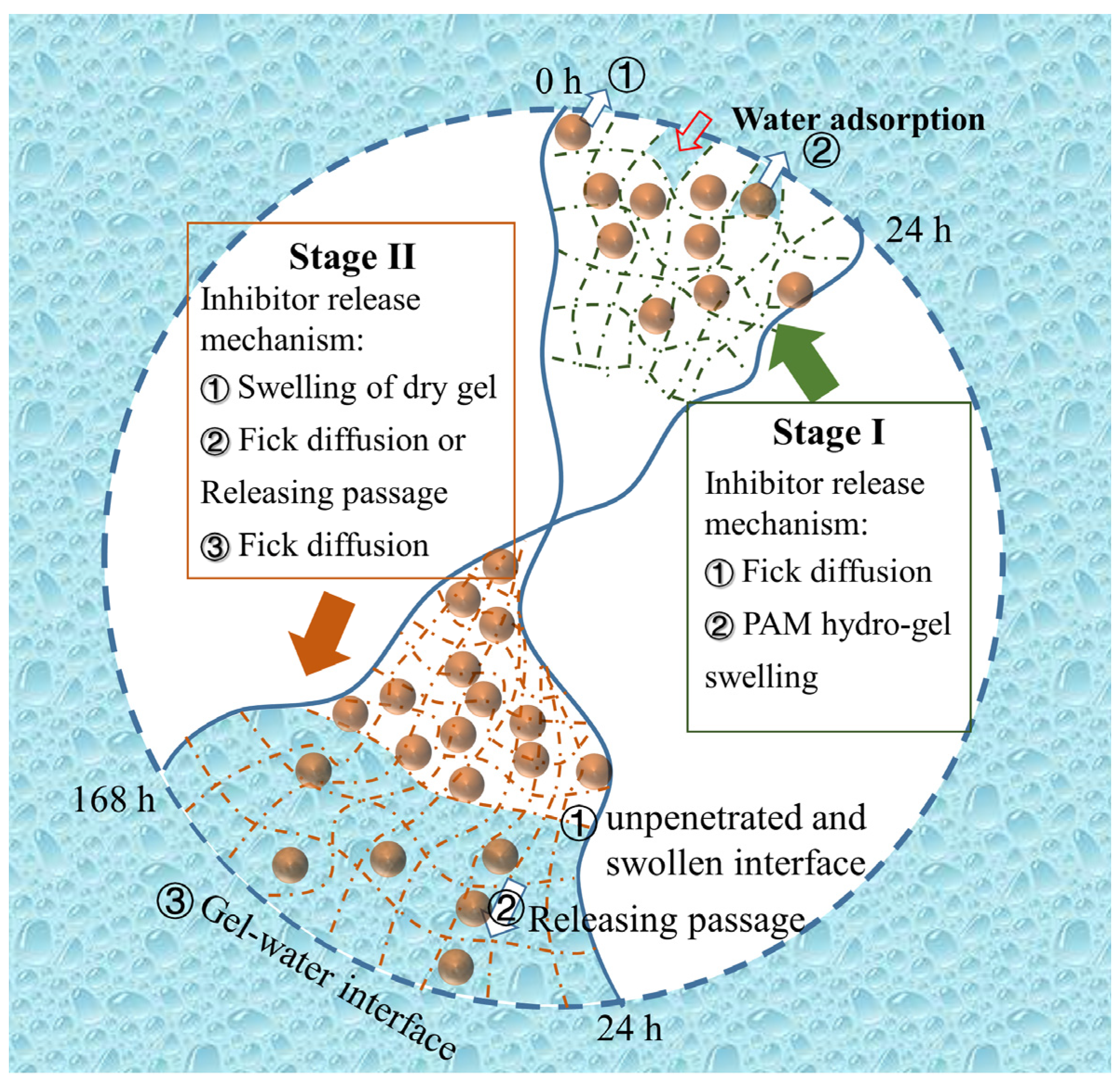 Molecules 28 01314 g007