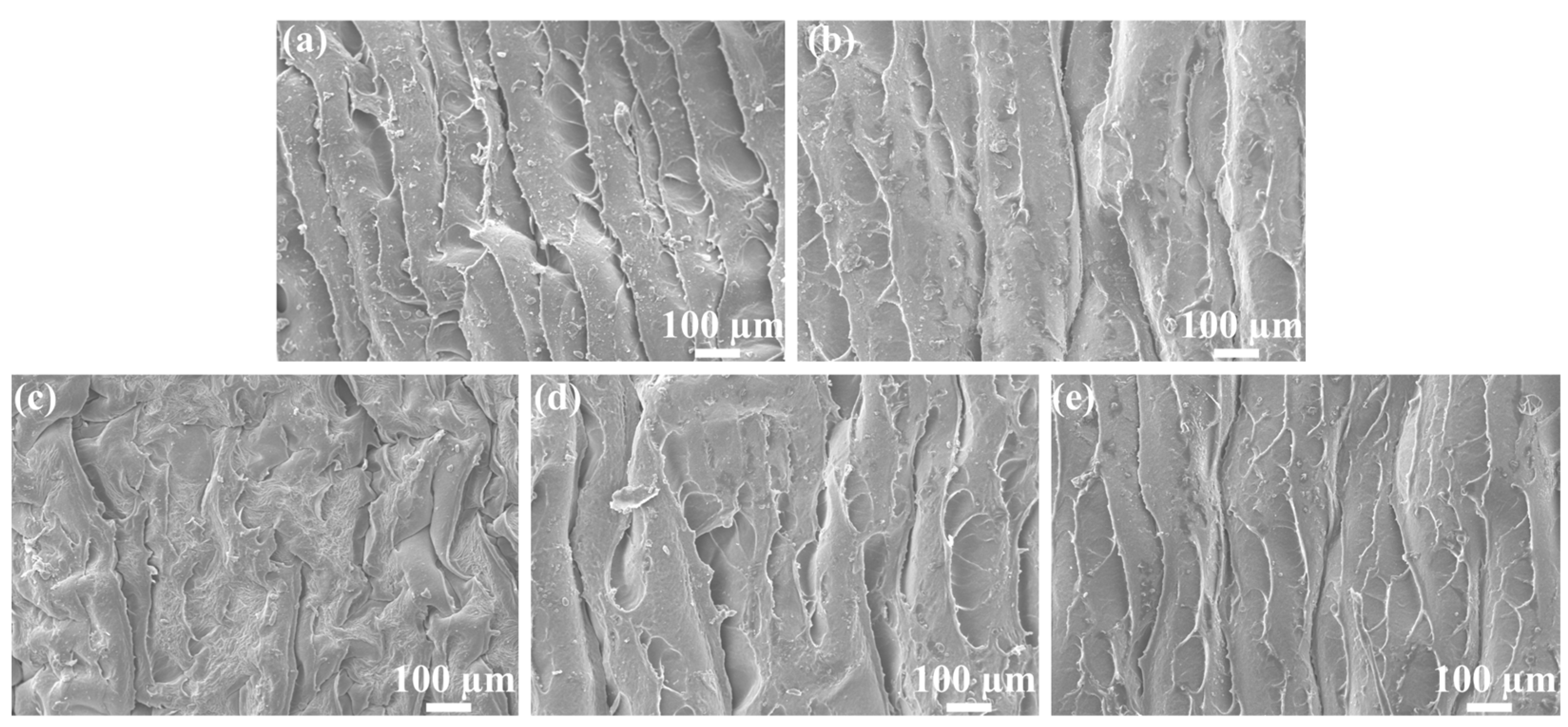 Molecules 28 01314 g009