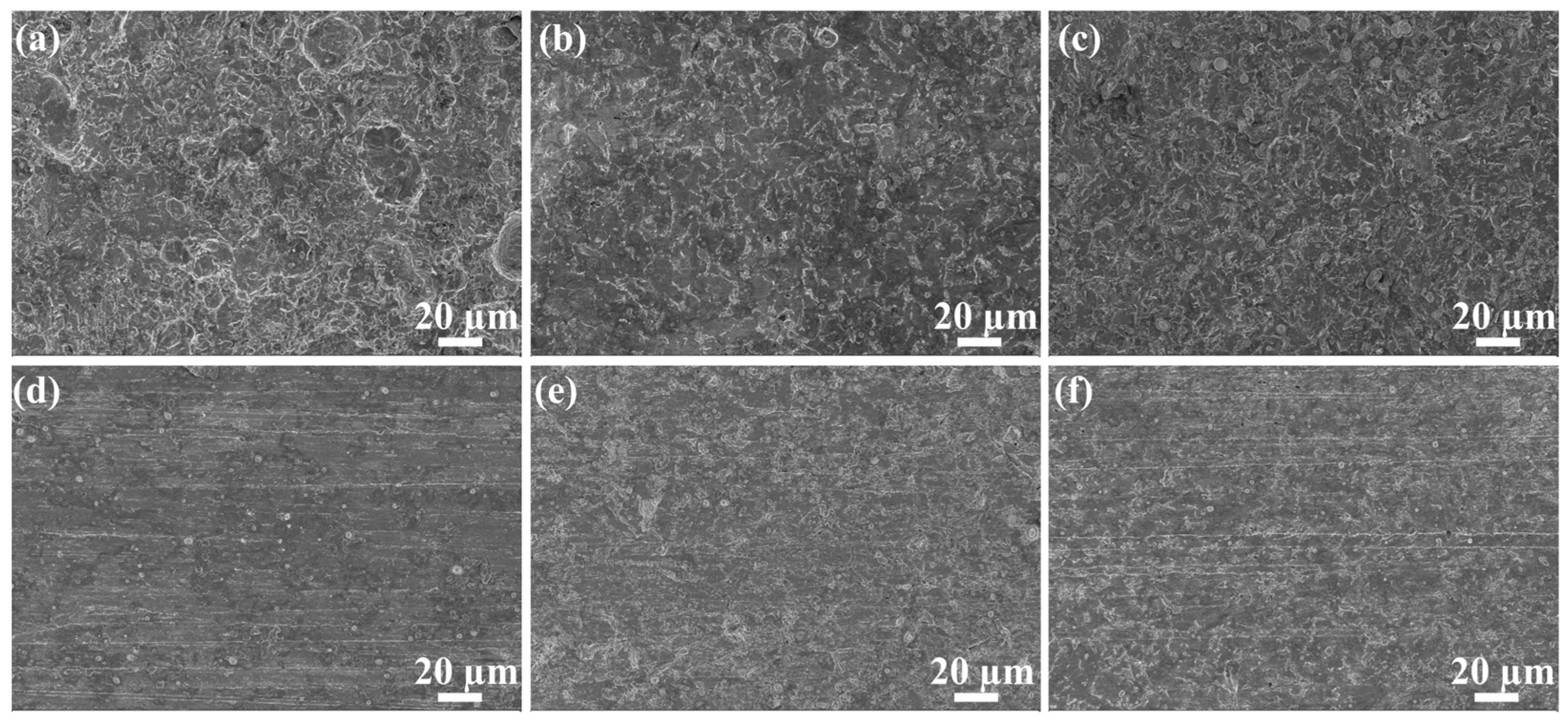 Molecules 28 01314 g012