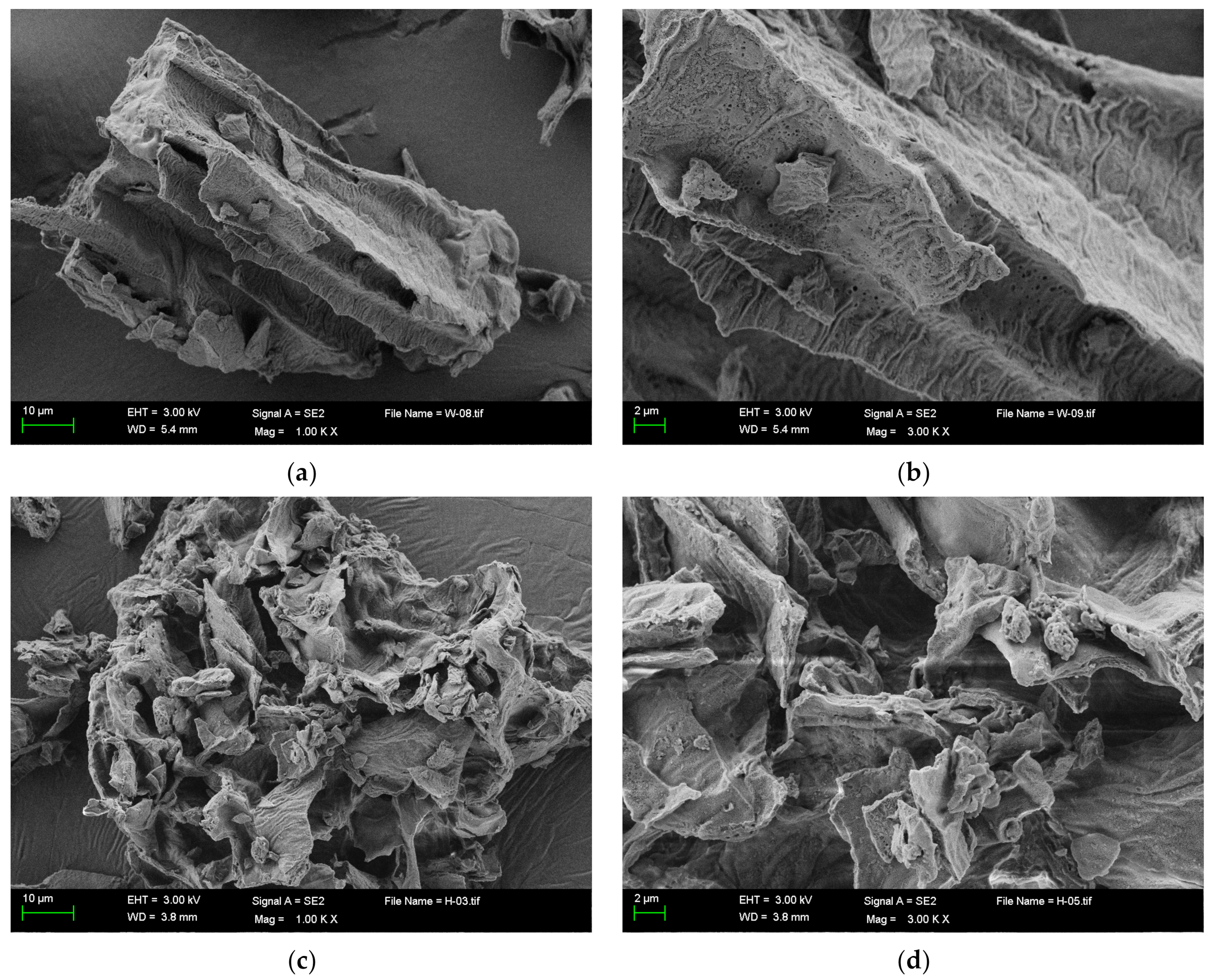 Molecules 28 01322 g002 Molecules 28 01322 g002