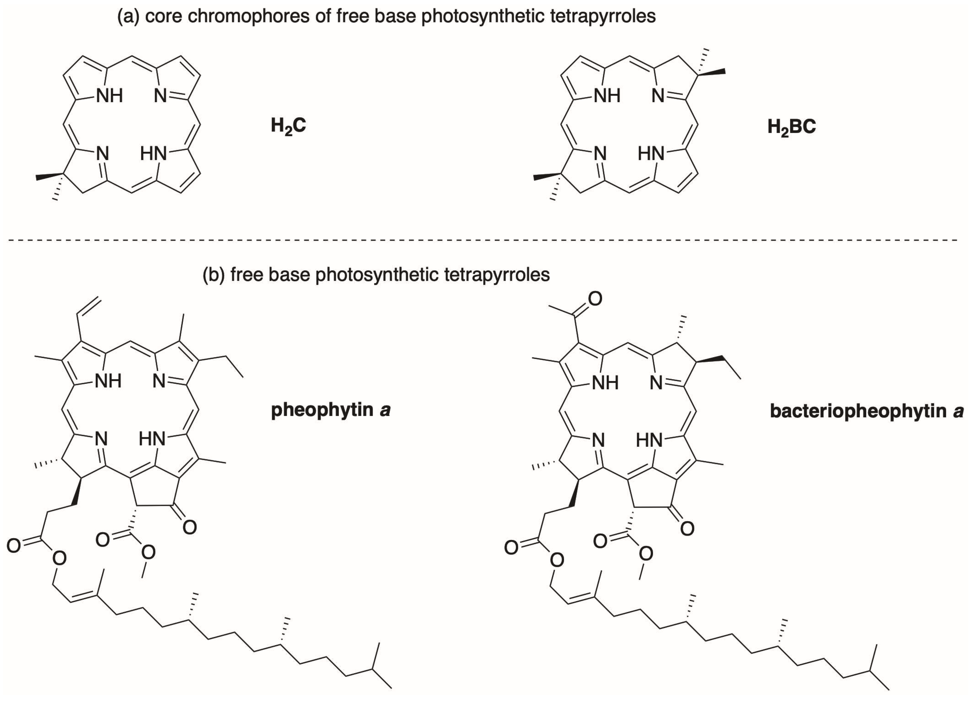 Molecules 28 01323 ch002
