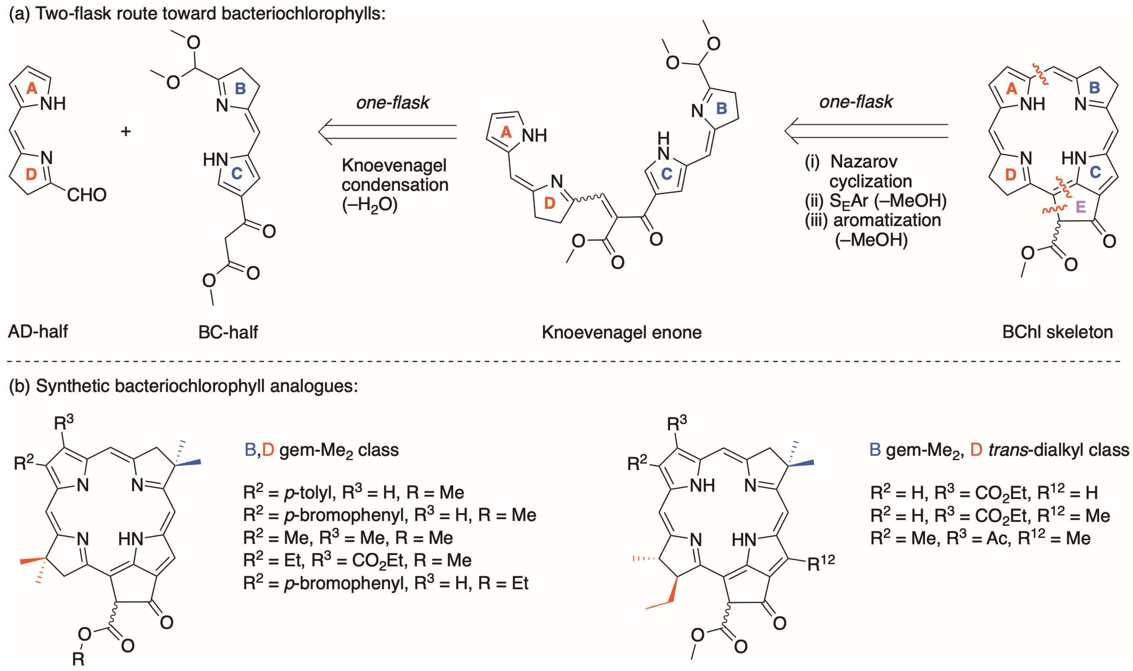 Molecules 28 01323 sch001