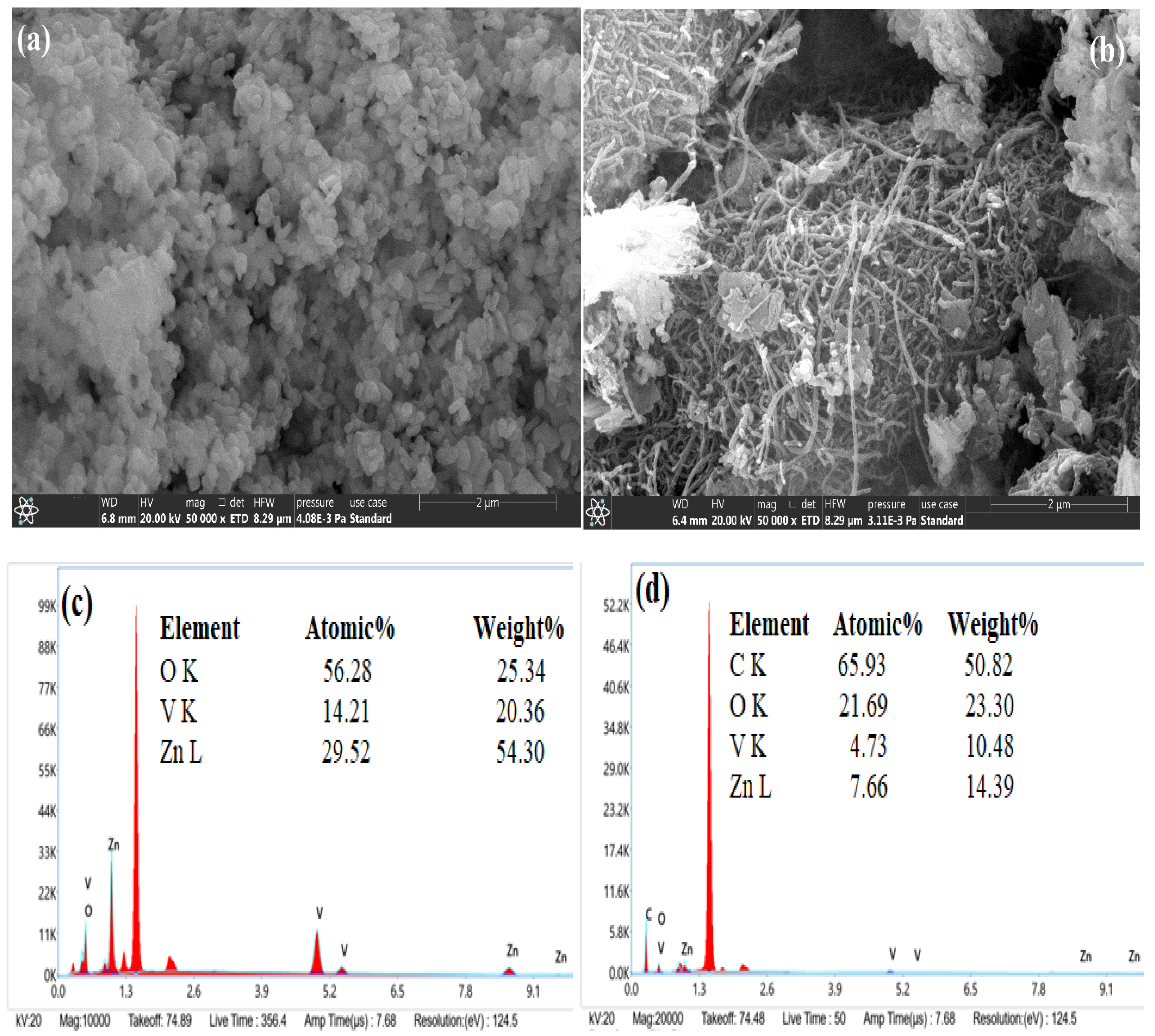 Molecules 28 01362 g003