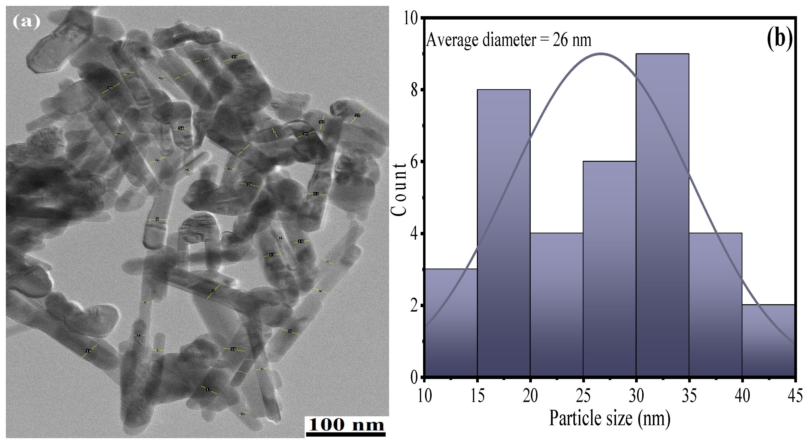 Molecules 28 01362 g008