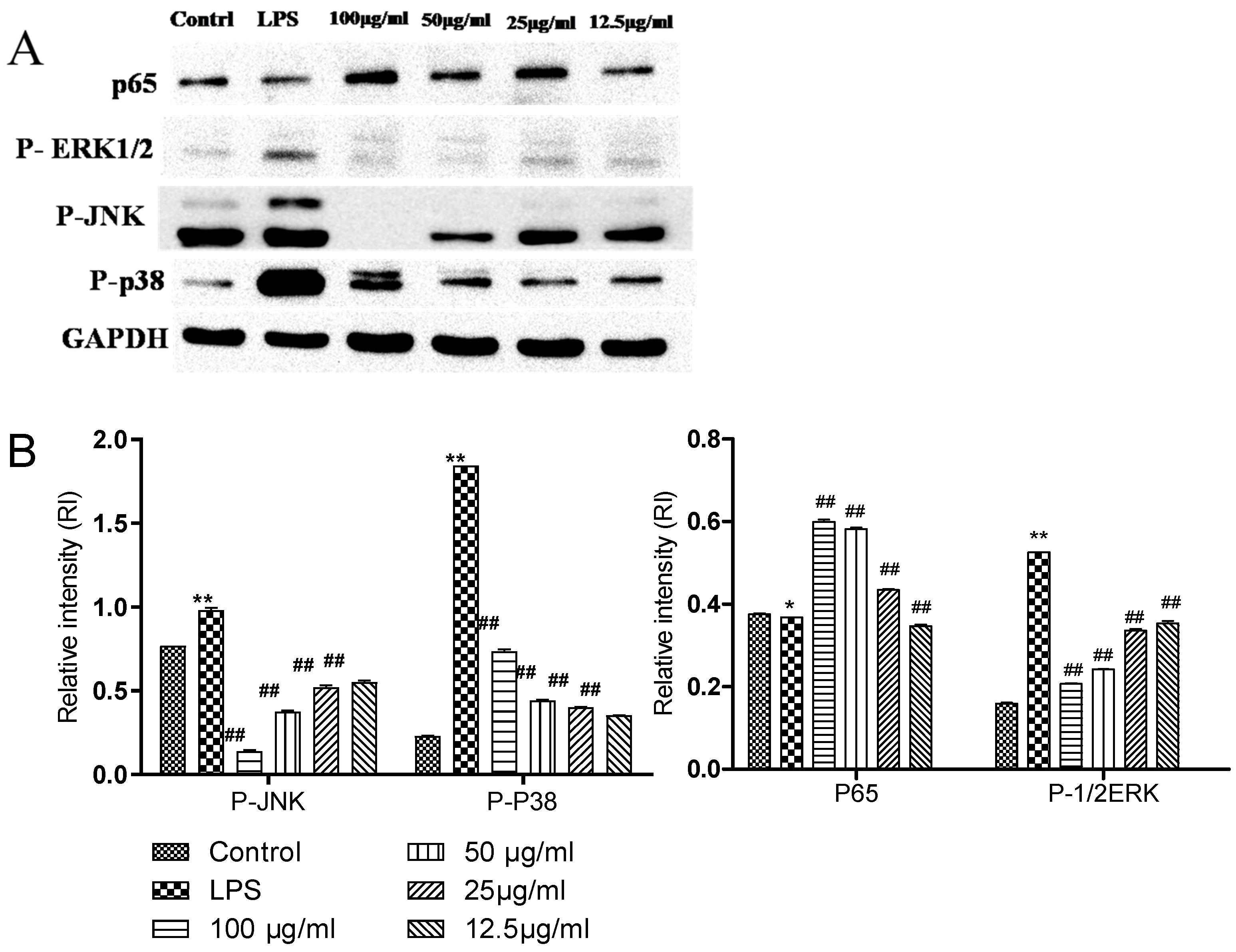 Molecules 28 01377 g004