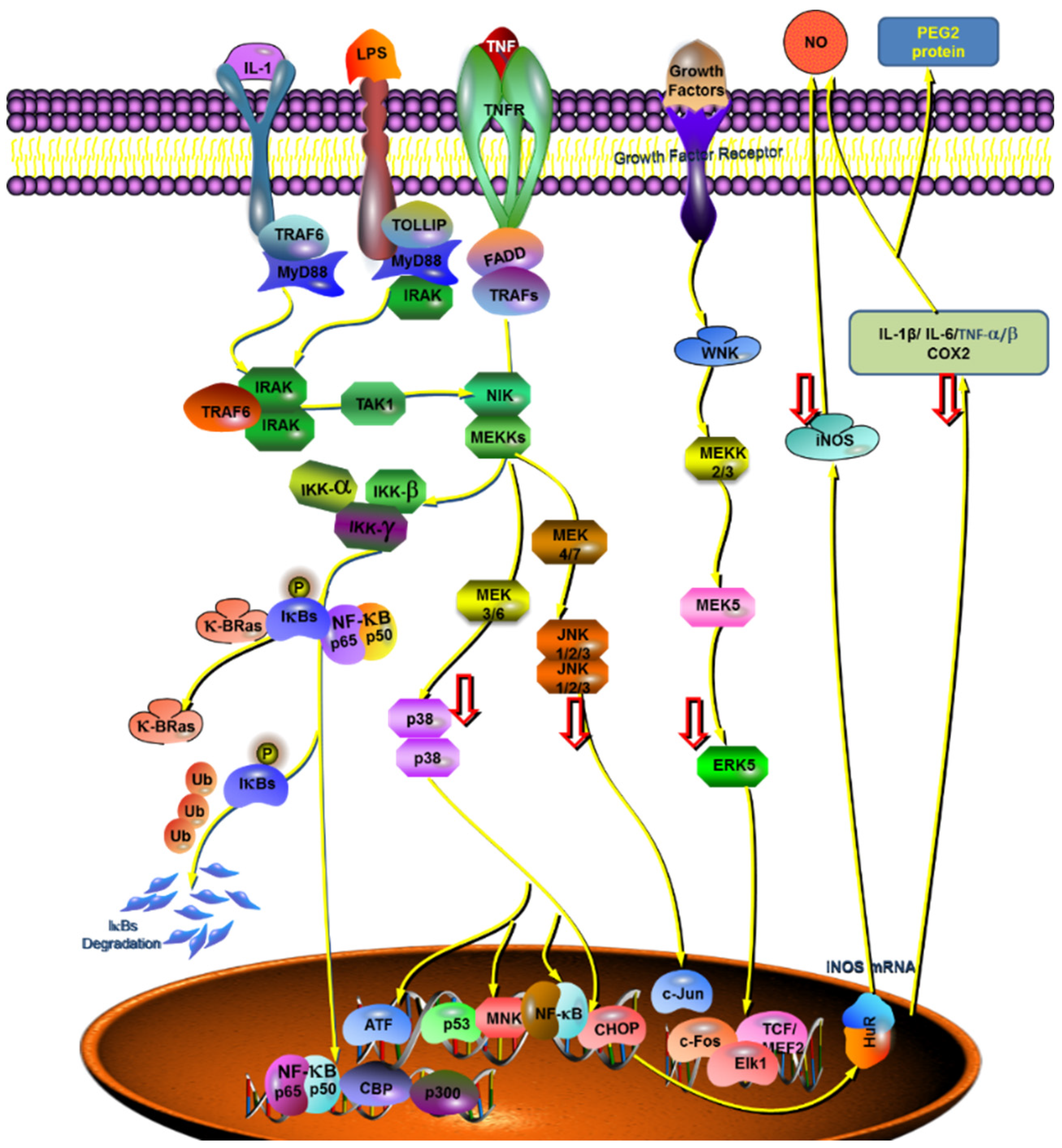 Molecules 28 01377 g006