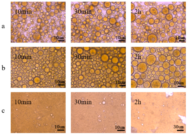 Molecules 28 01399 g006