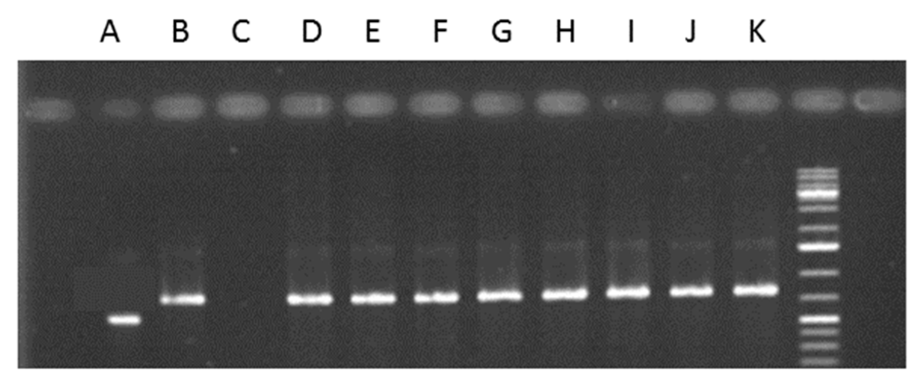 Molecules 28 01405 g009 Molecules 28 01405 g009