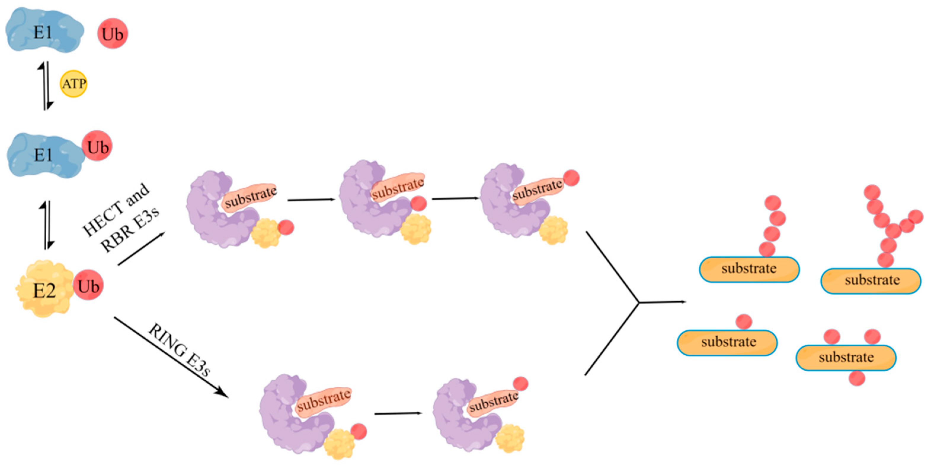 Molecules 28 01417 g001