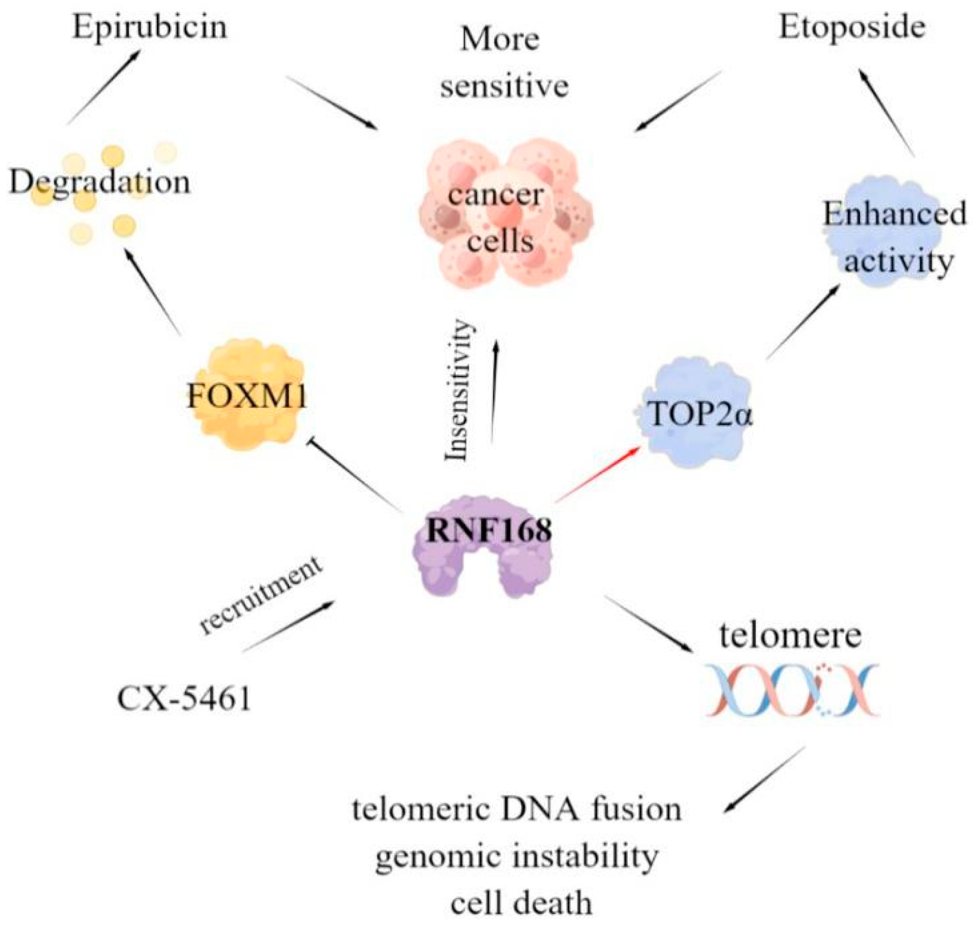 Molecules 28 01417 g005