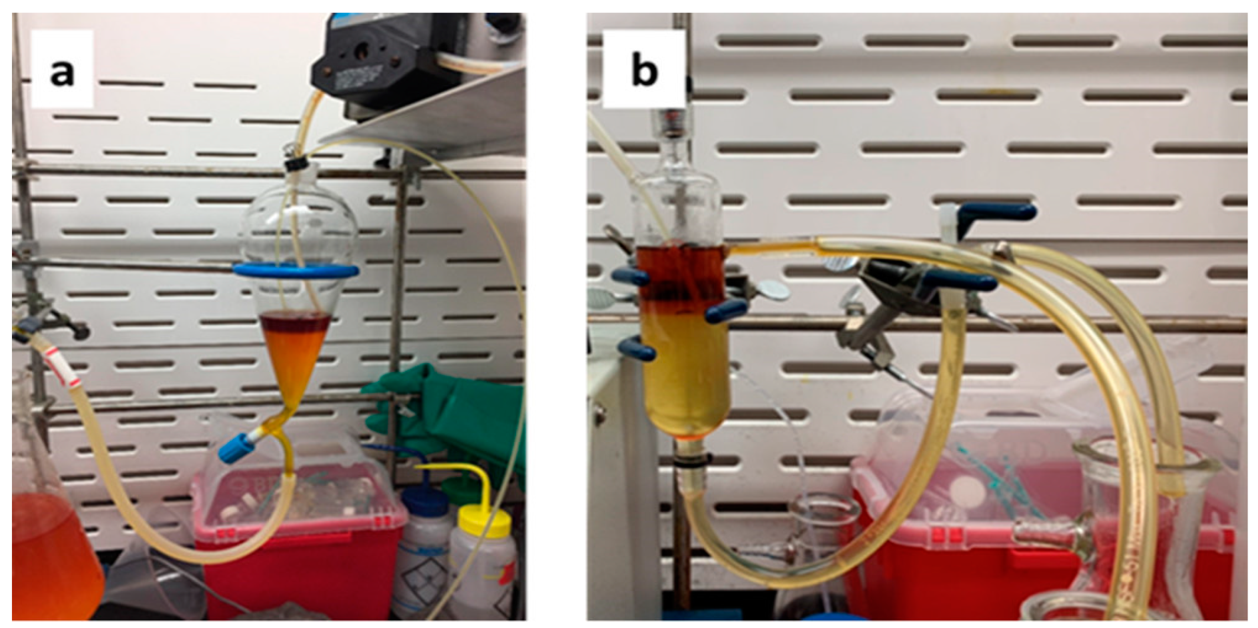 Molecules 28 01421 g004 Molecules 28 01421 g004