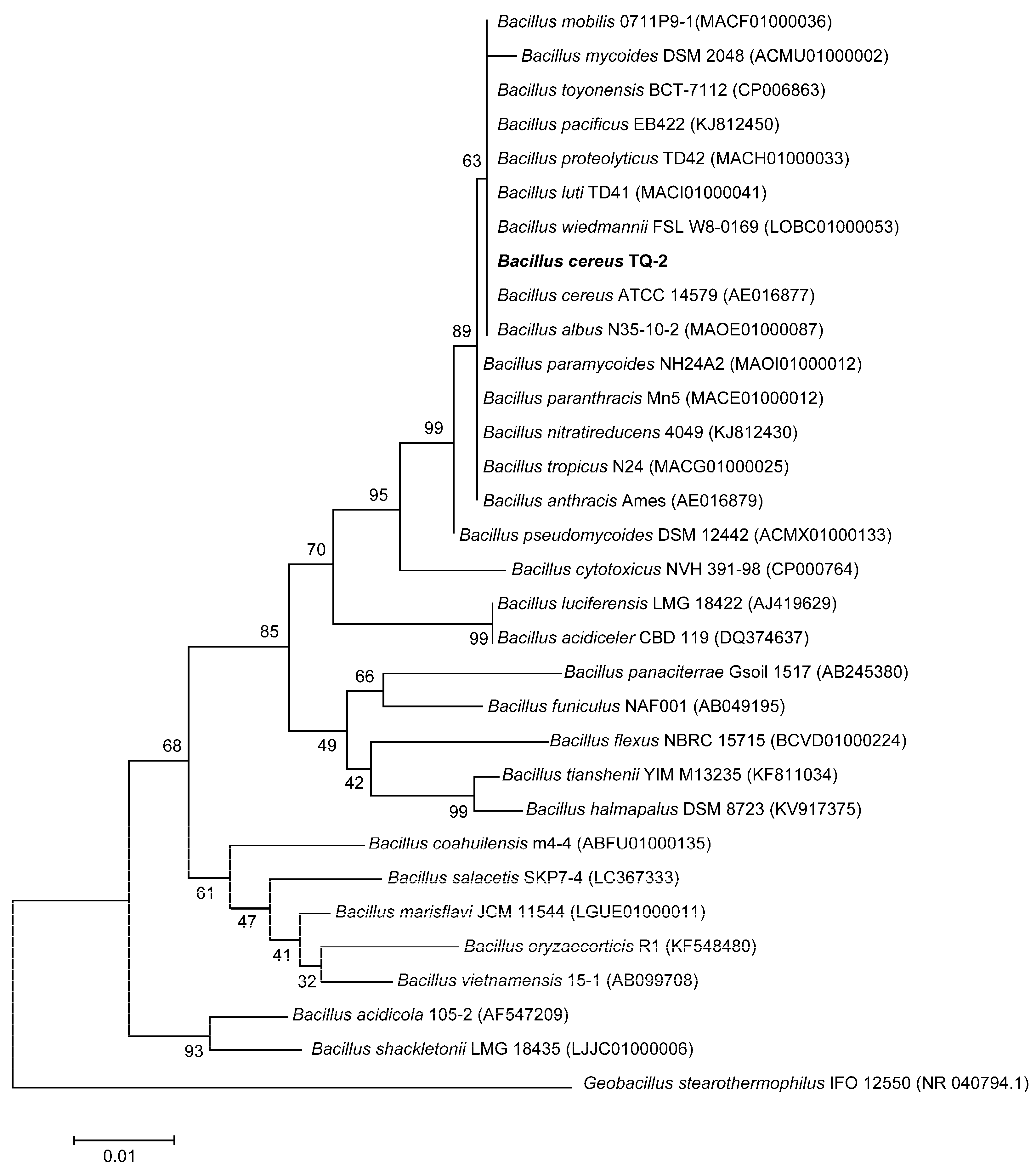 Molecules 28 01422 g003