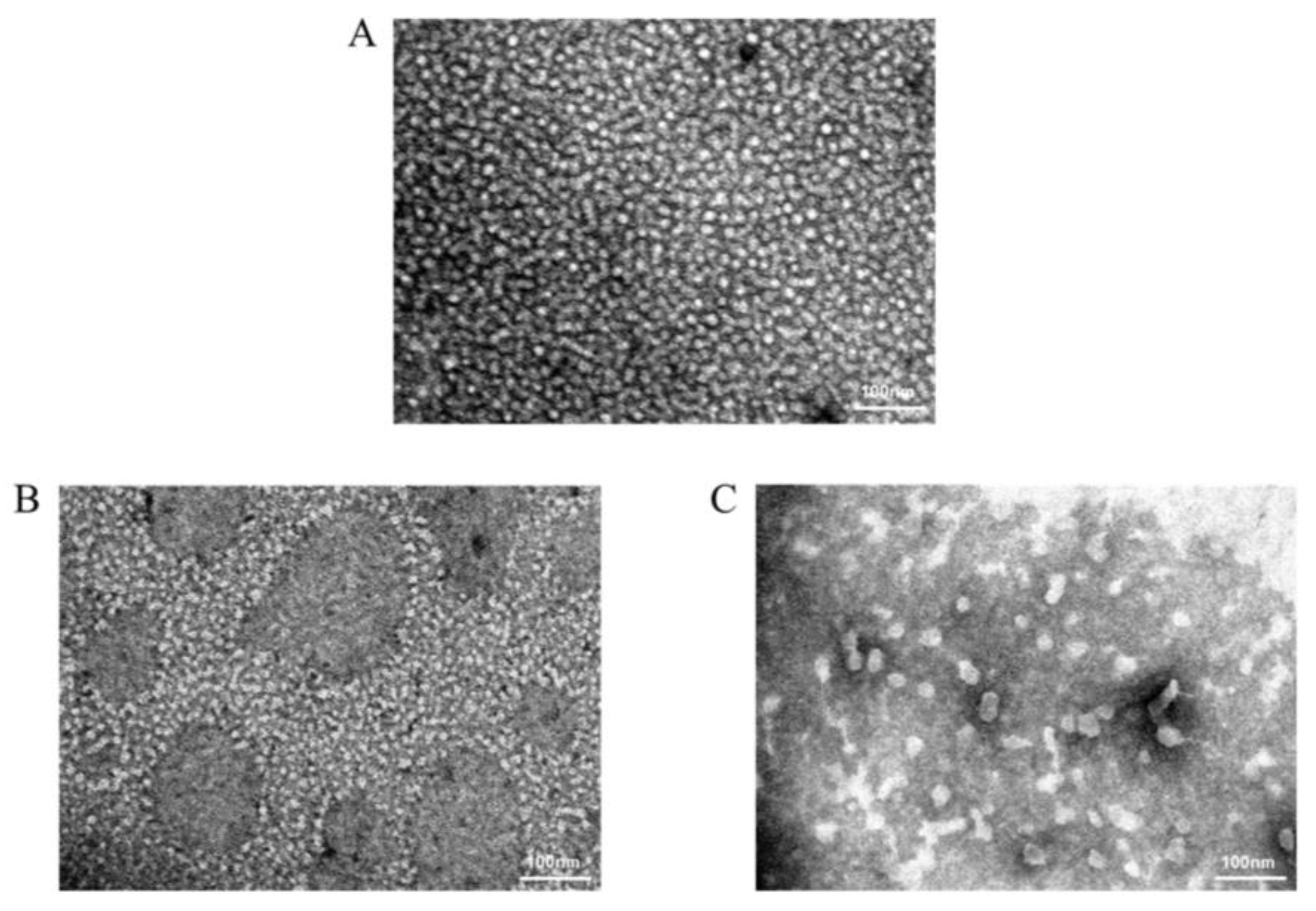 Molecules 28 01426 g002