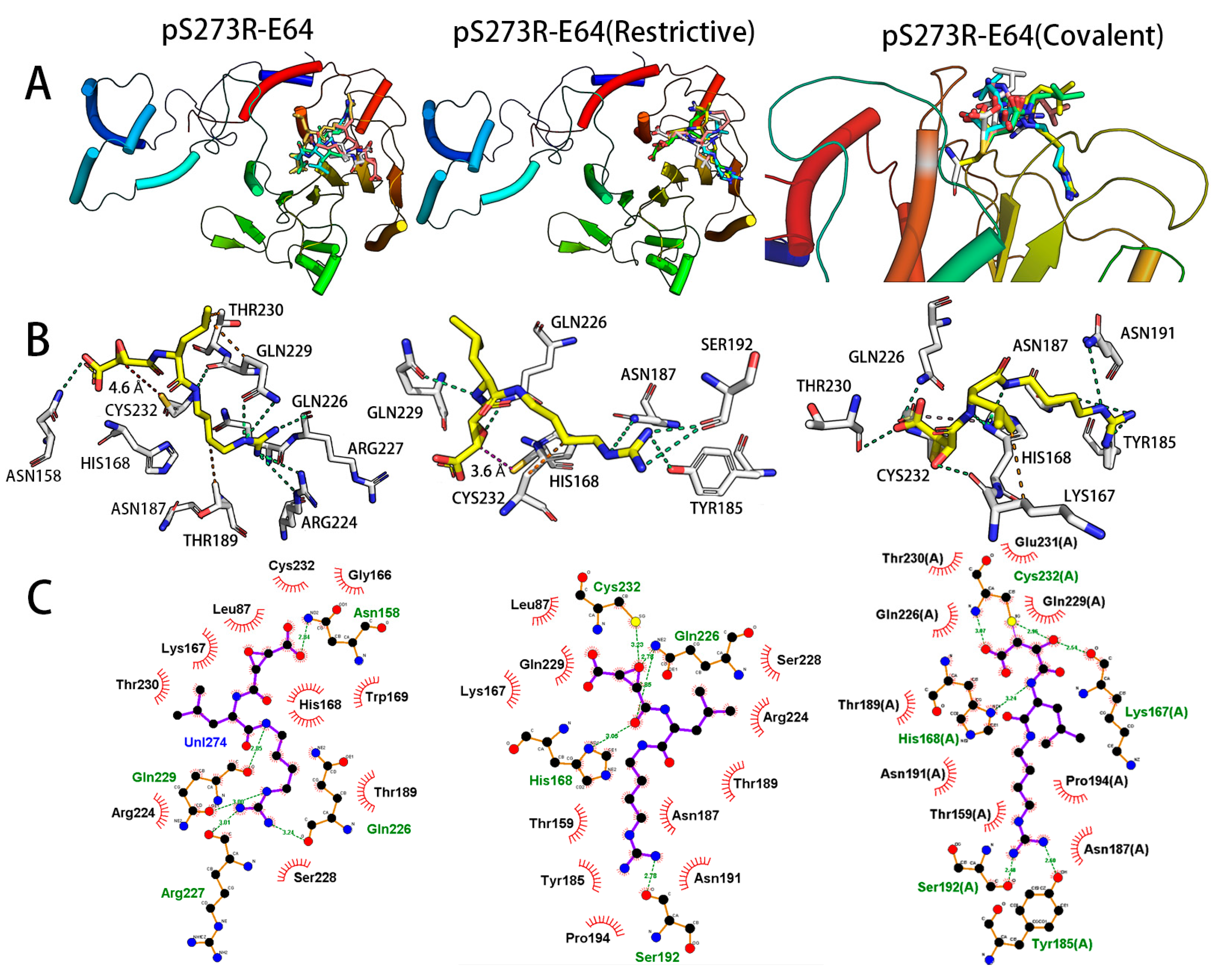 Molecules 28 01435 g003 Molecules 28 01435 g003