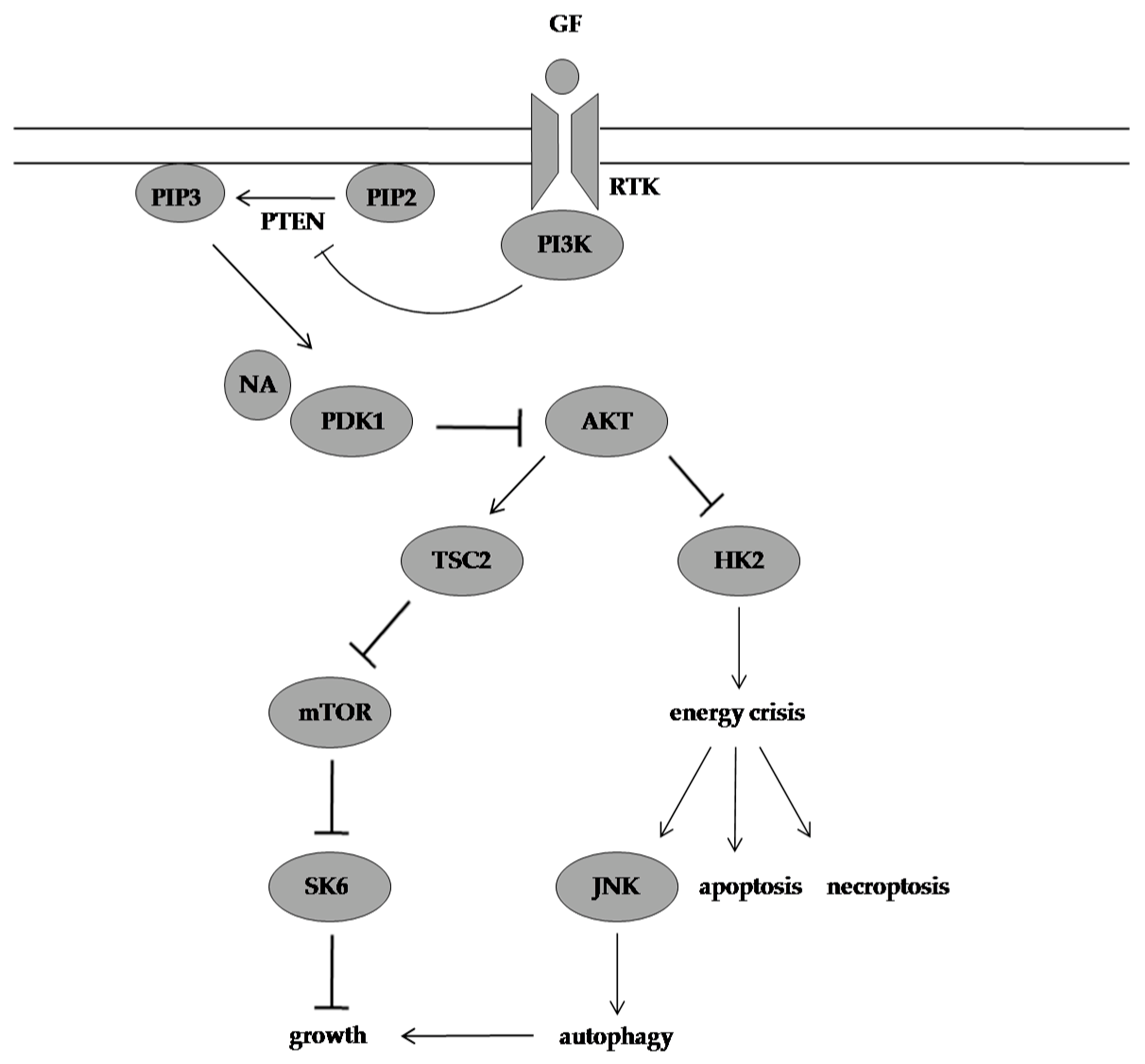 Molecules 28 01441 g004 Molecules 28 01441 g004