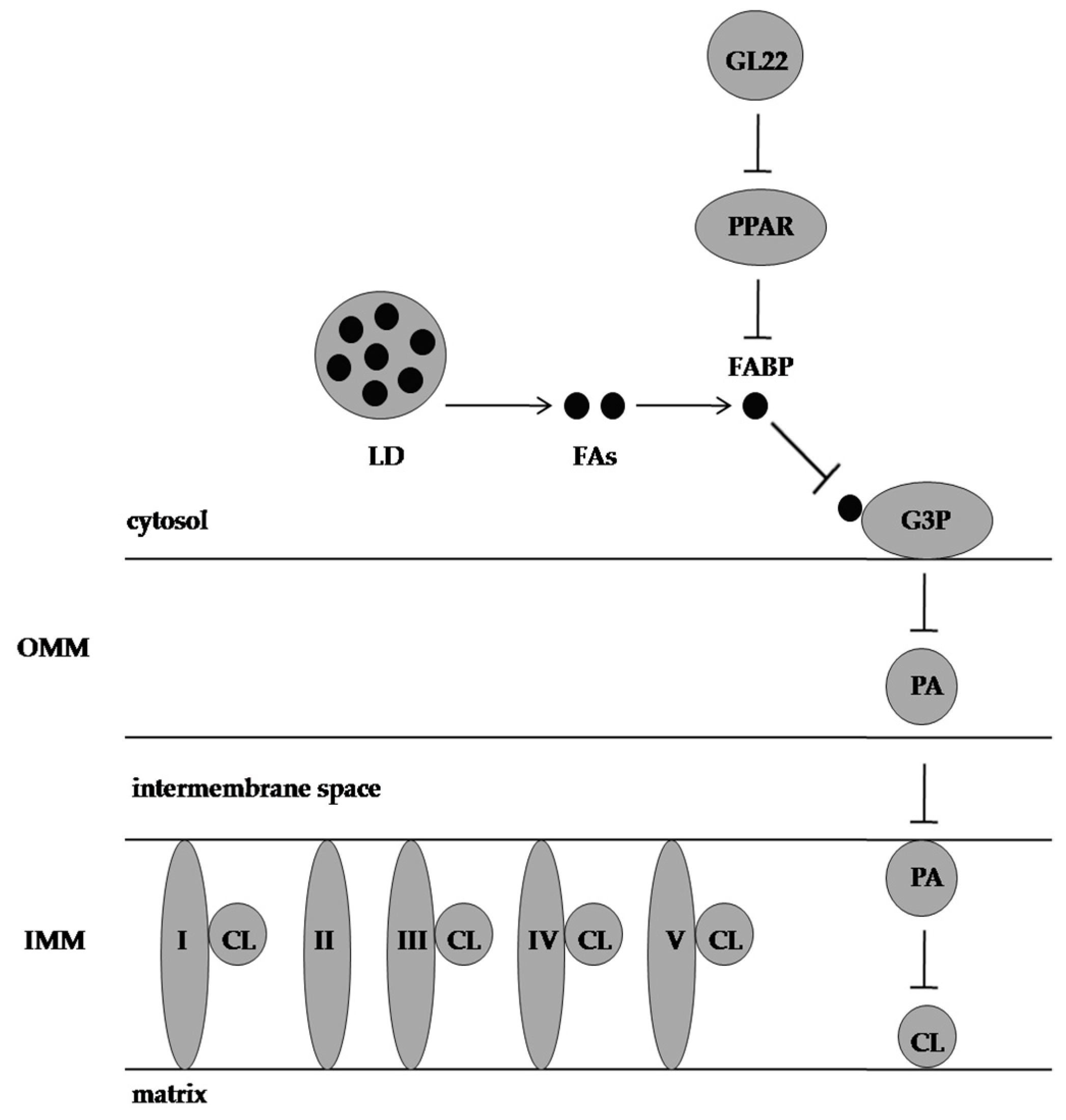 Molecules 28 01441 g005 Molecules 28 01441 g005