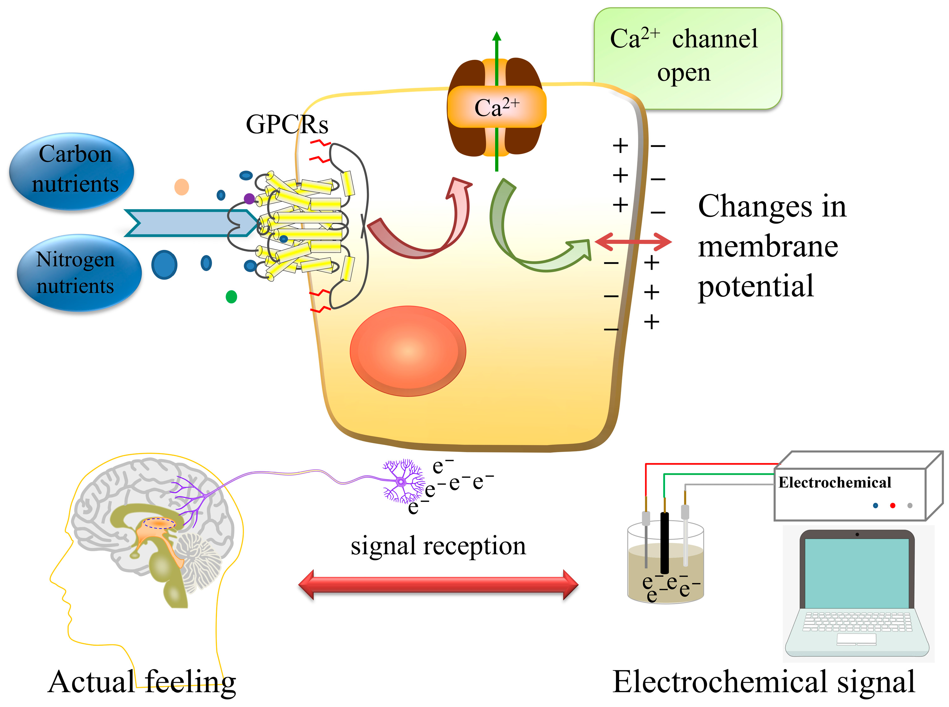 Molecules 28 01453 g001