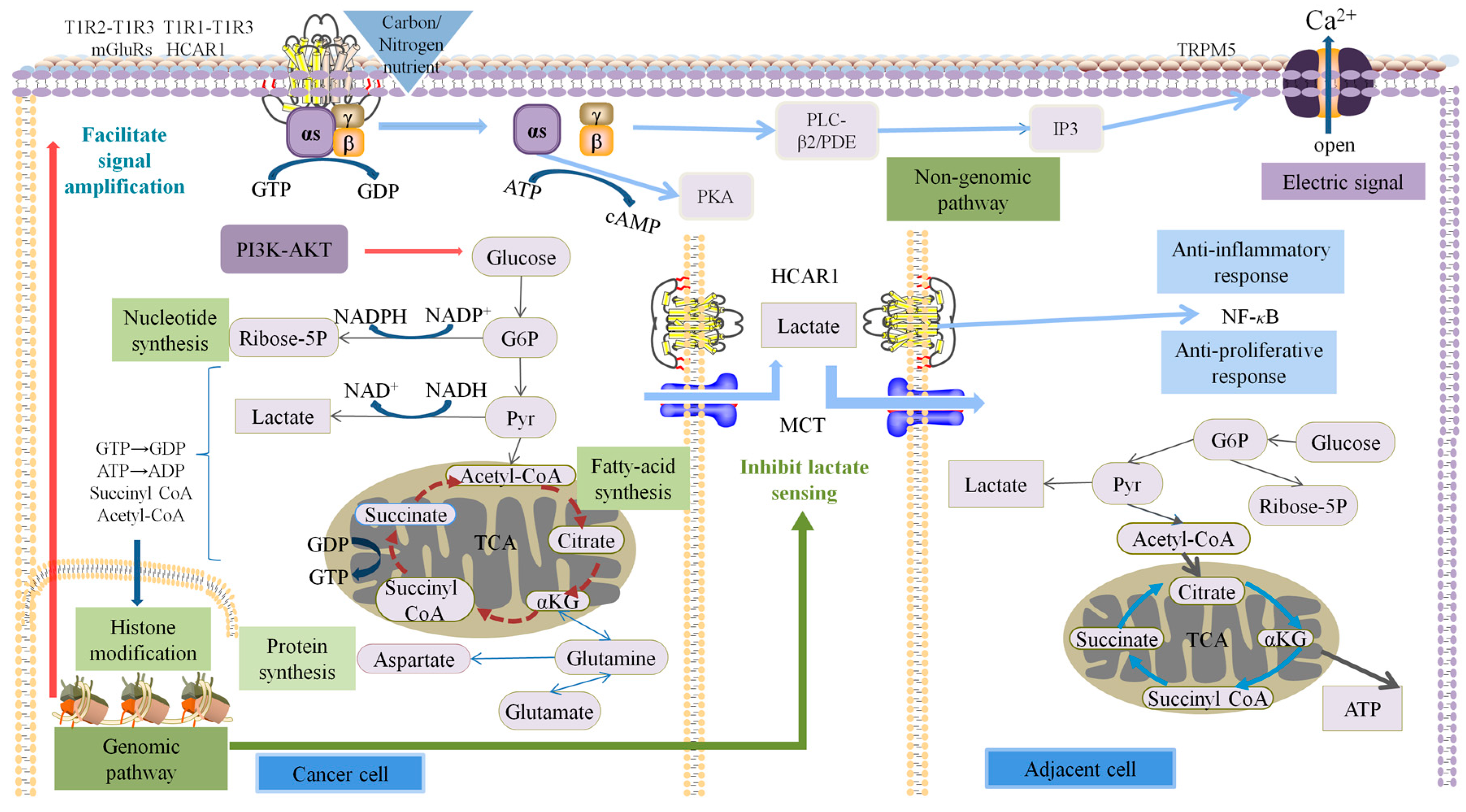 Molecules 28 01453 g007