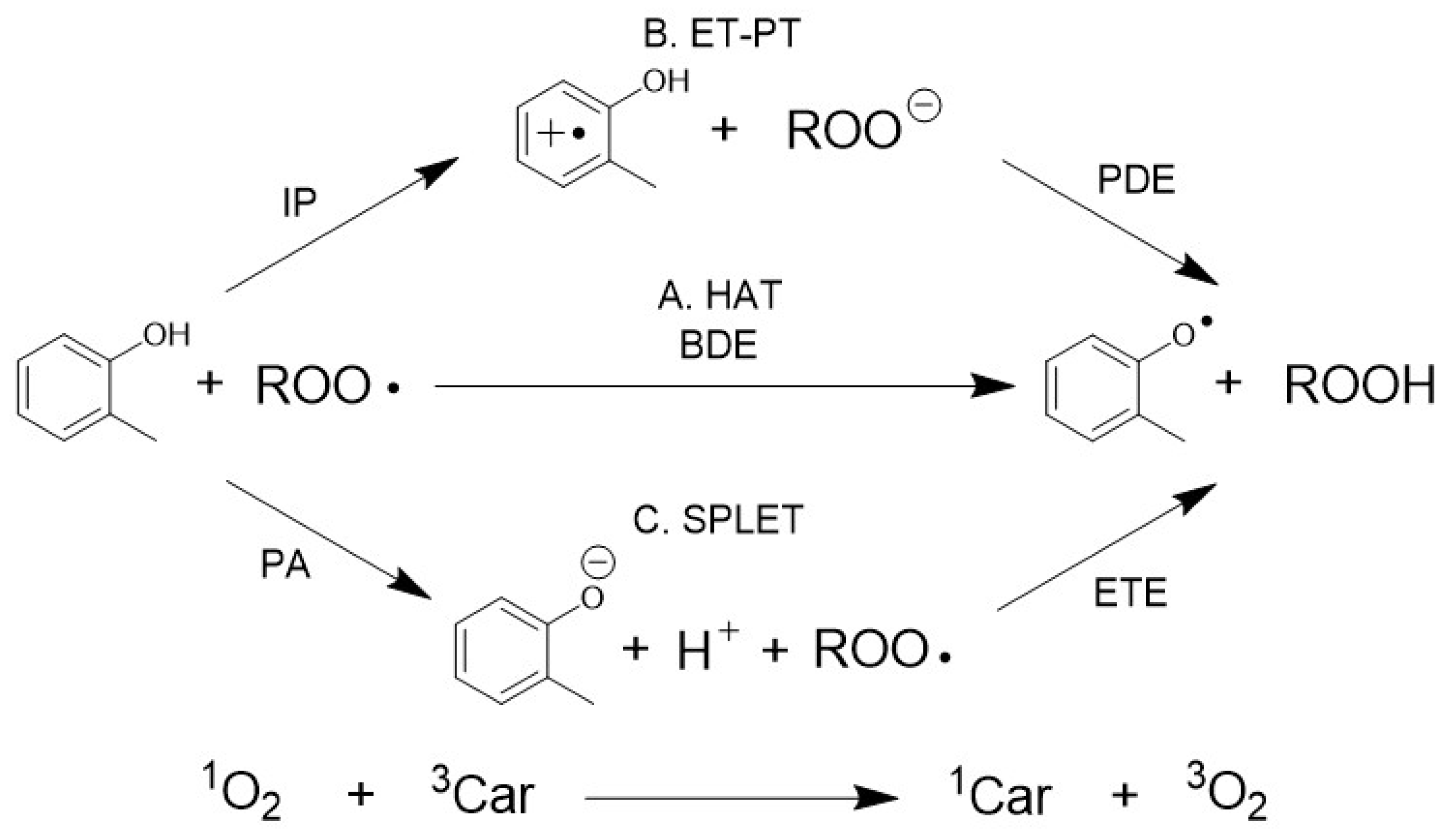 Molecules 28 01454 g001 Molecules 28 01454 g001