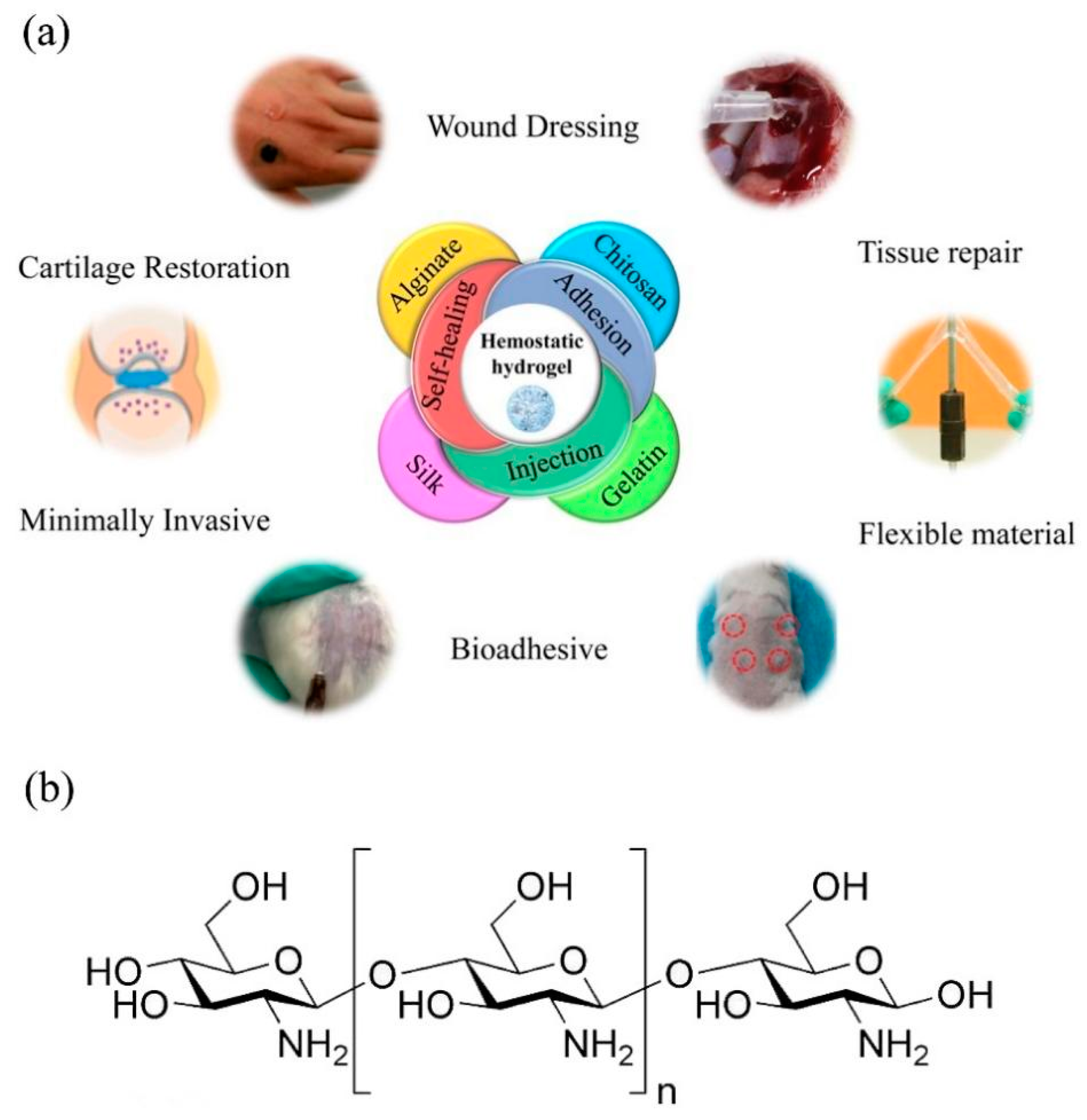 Molecules | Free Full-Text | Chitosan-Based Hemostatic Hydrogels: The  Concept, Mechanism, Application, and Prospects