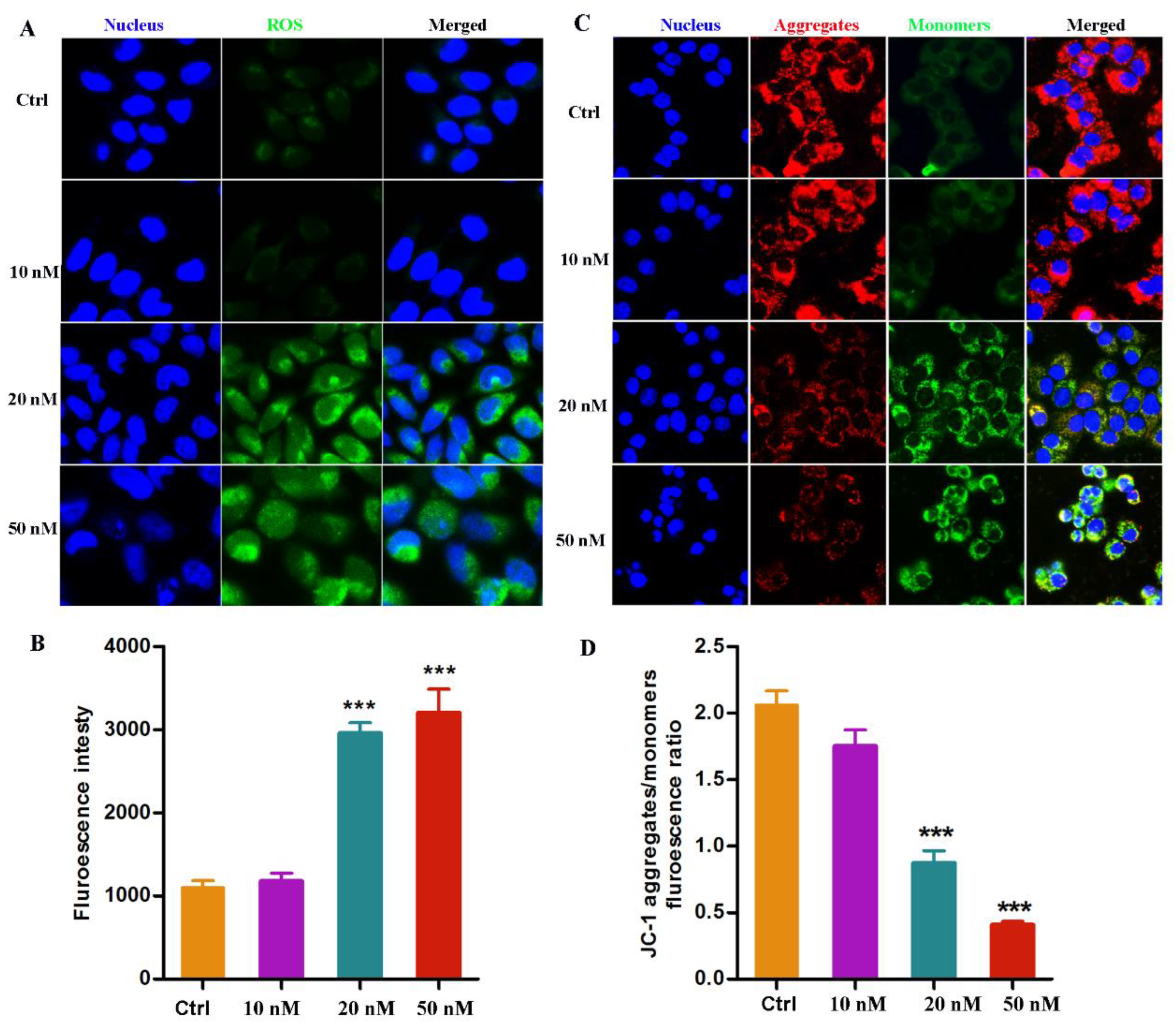 Molecules 28 01481 g005