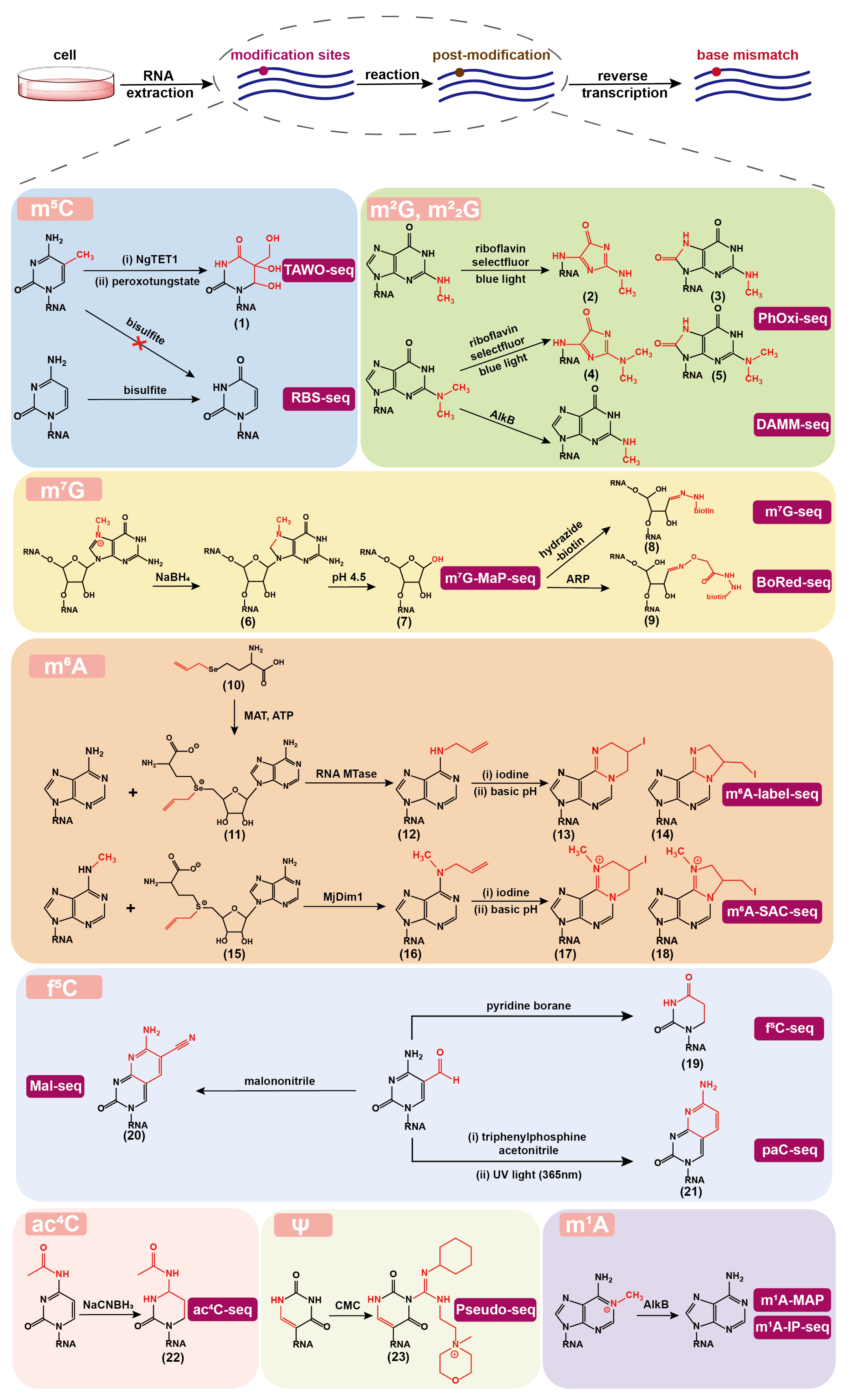 Molecules 28 01517 g002