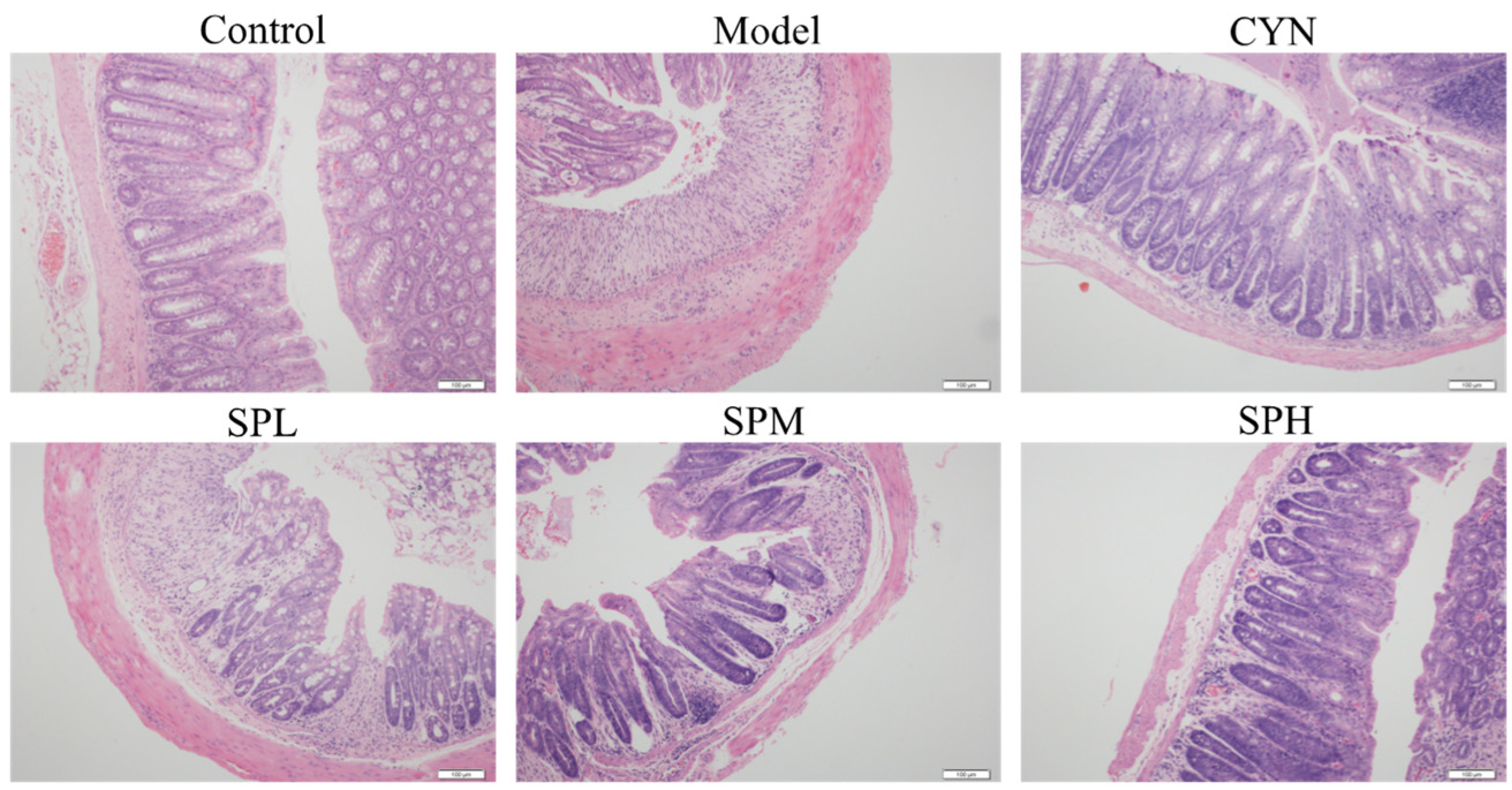 Molecules 28 01526 g006 Molecules 28 01526 g006