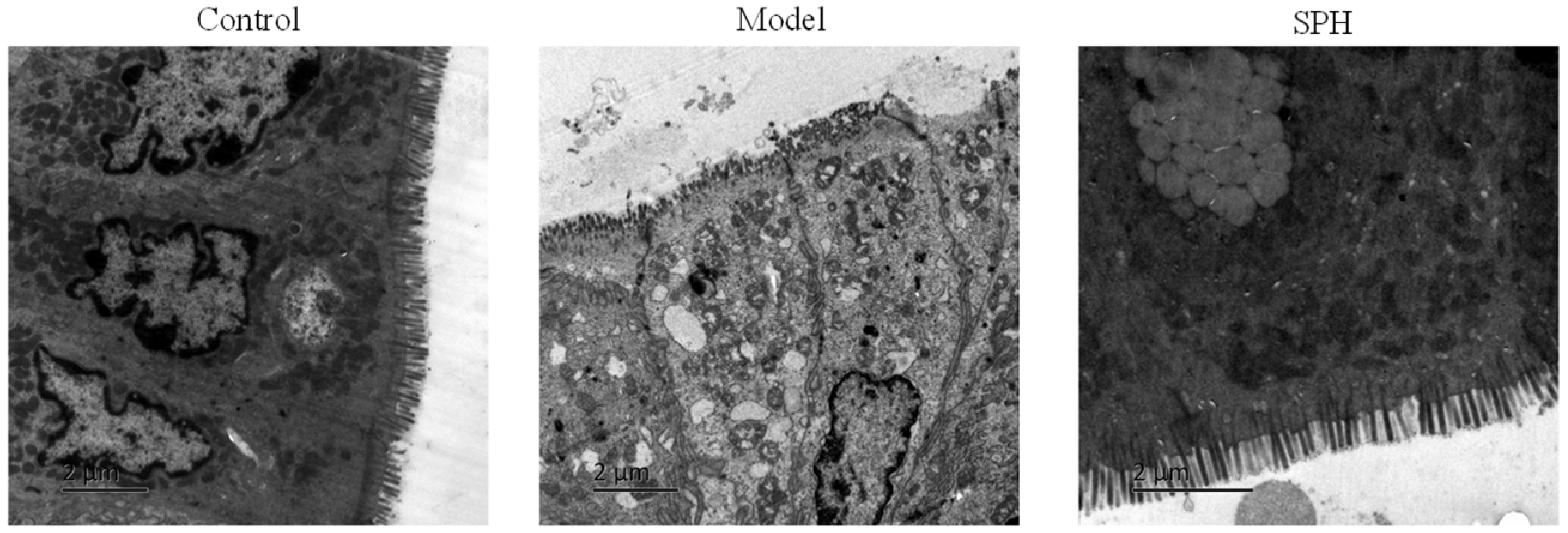 Molecules 28 01526 g007 Molecules 28 01526 g007