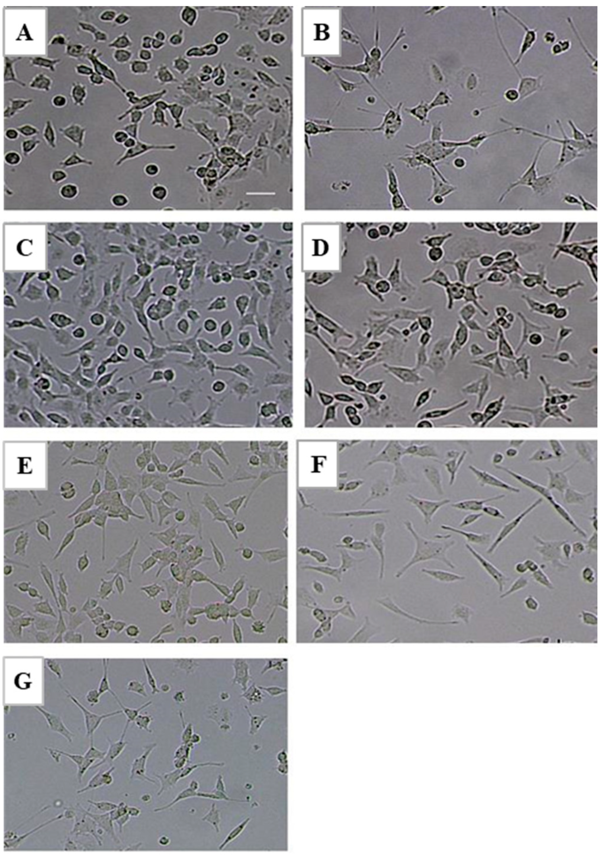 Molecules 28 01544 g003 Molecules 28 01544 g003