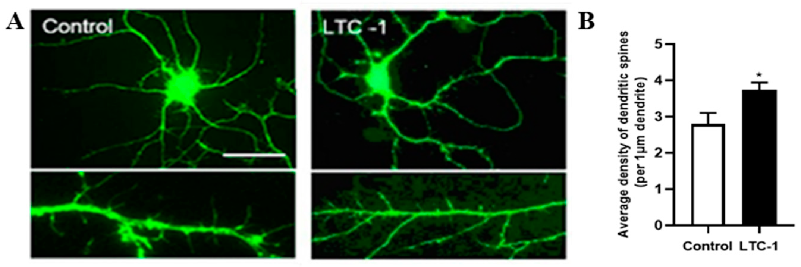 Molecules 28 01544 g009 Molecules 28 01544 g009