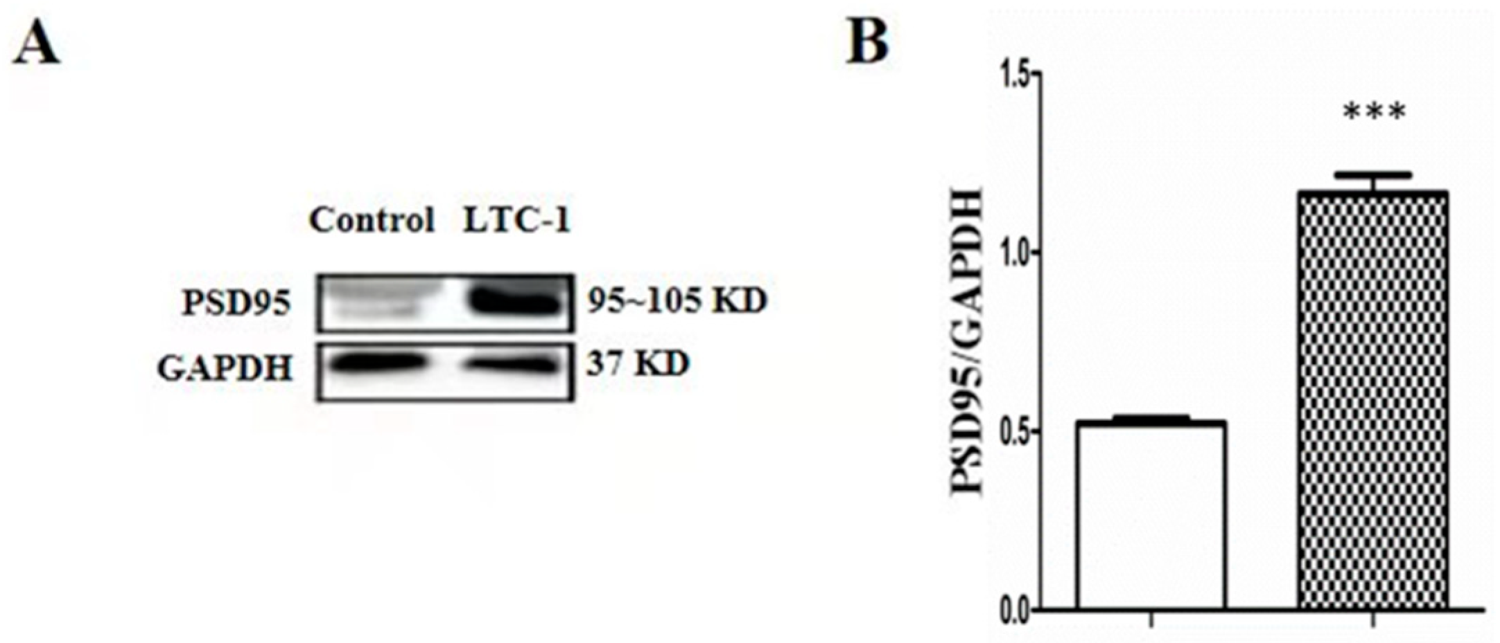 Molecules 28 01544 g010 Molecules 28 01544 g010