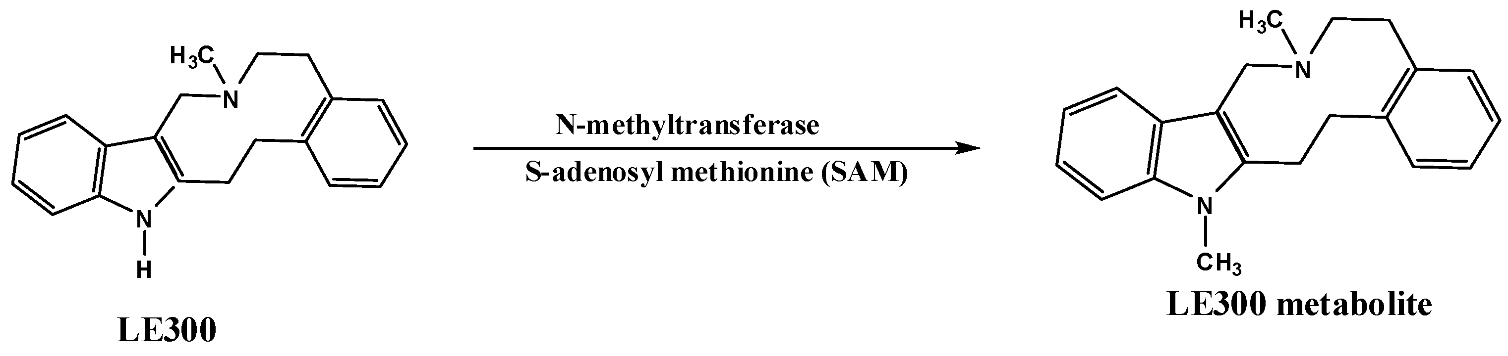 Molecules 28 01553 g002