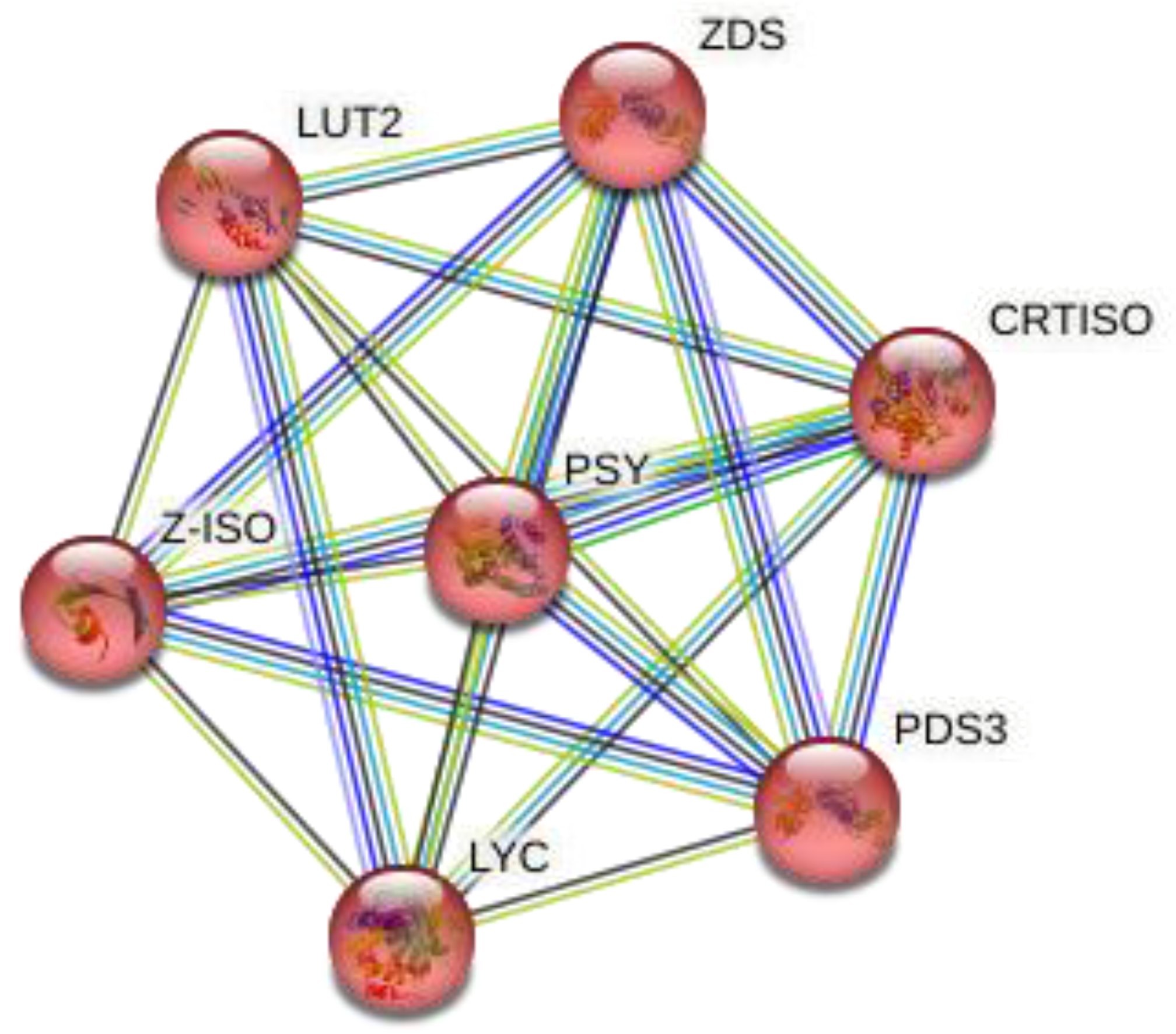 Molecules 28 01578 g004