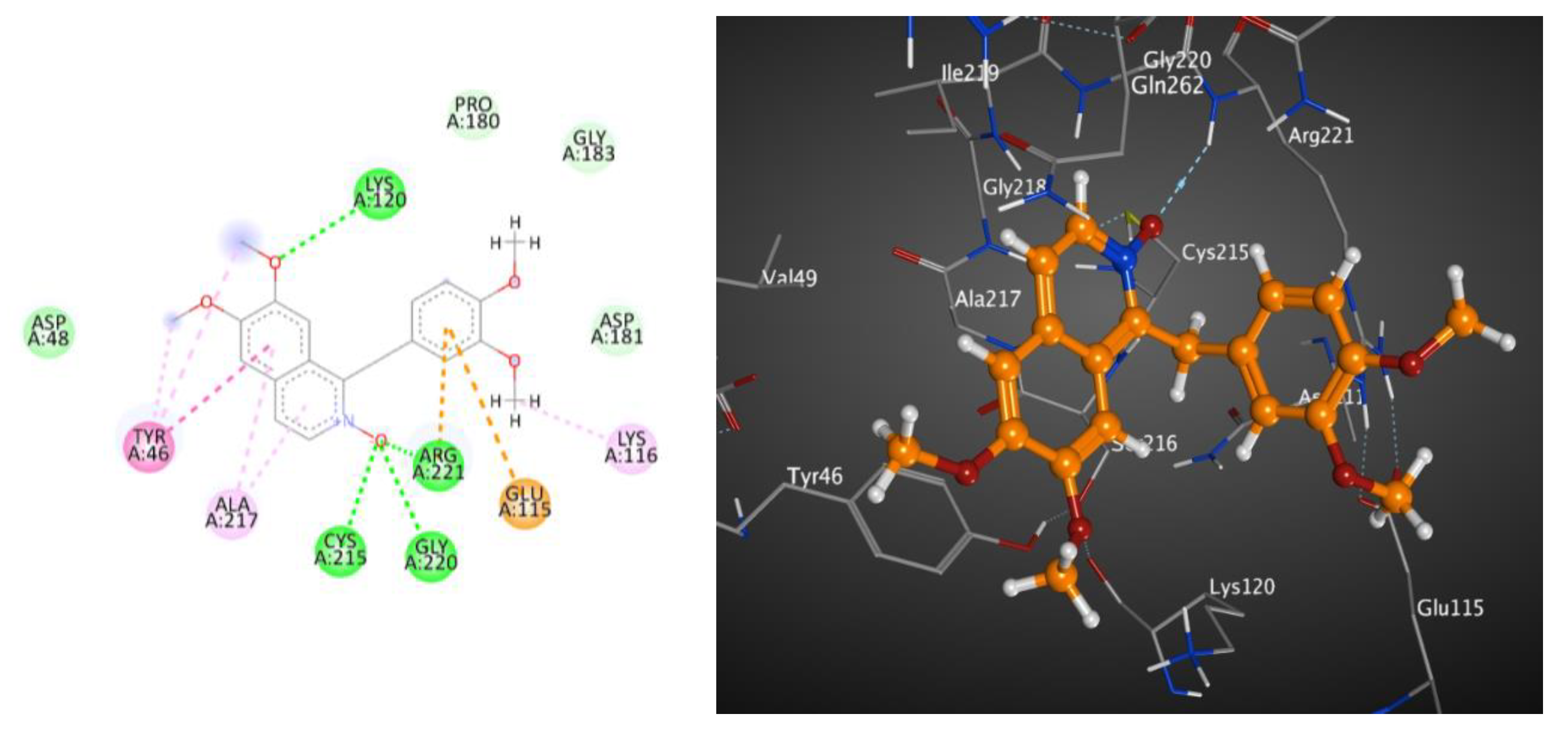 Molecules 28 01583 g003 Molecules 28 01583 g003