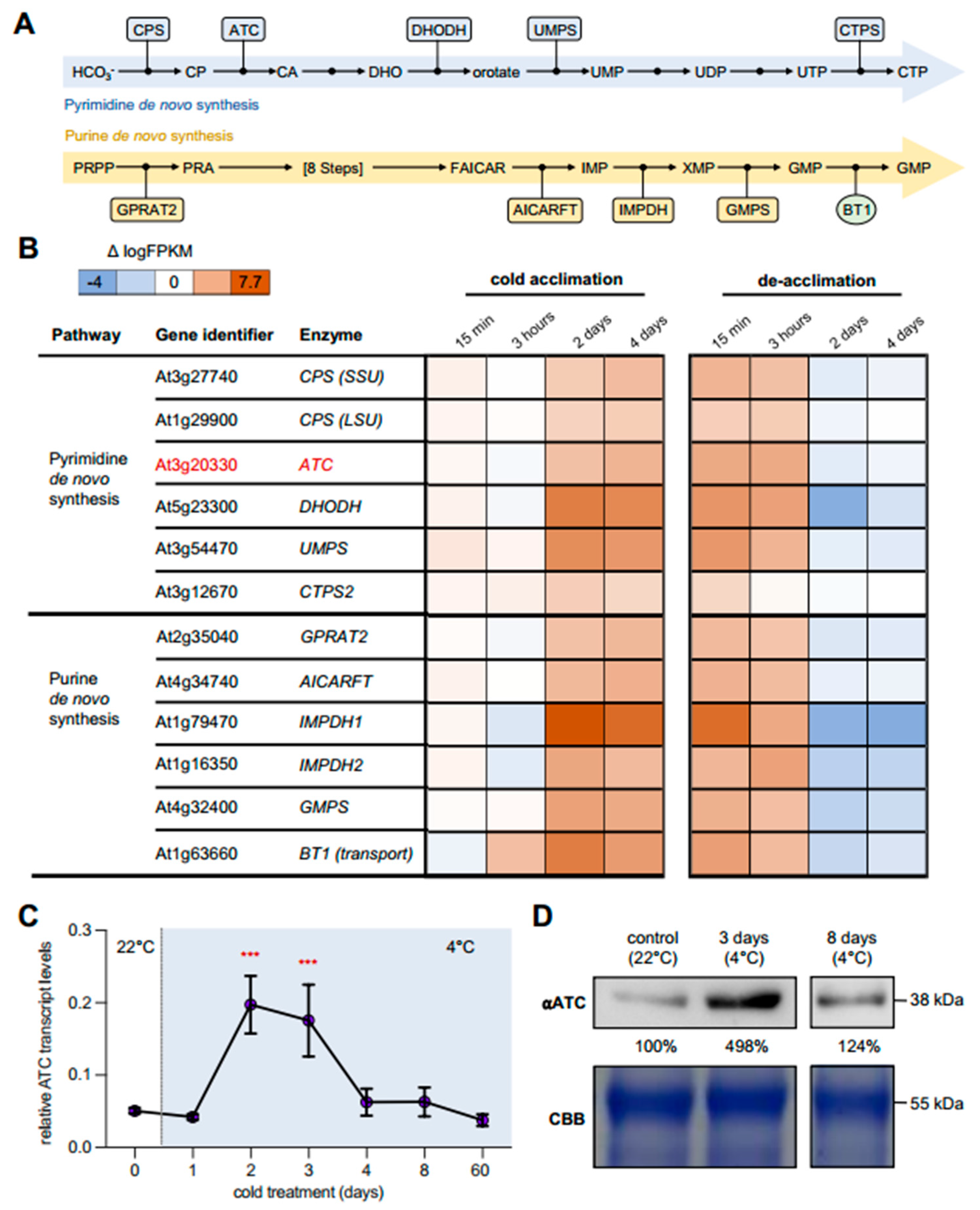 Molecules 28 01585 g001