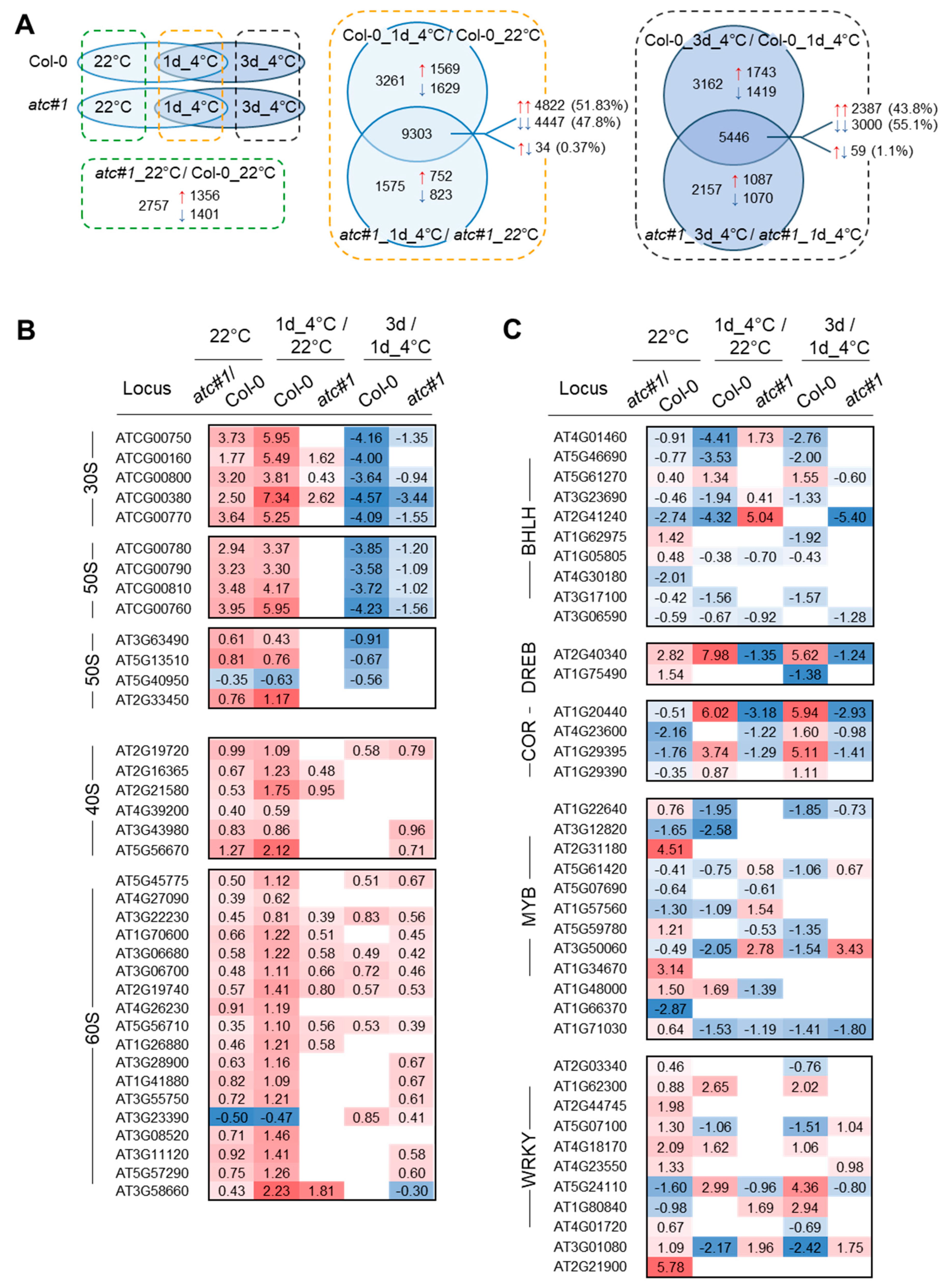 Molecules 28 01585 g004