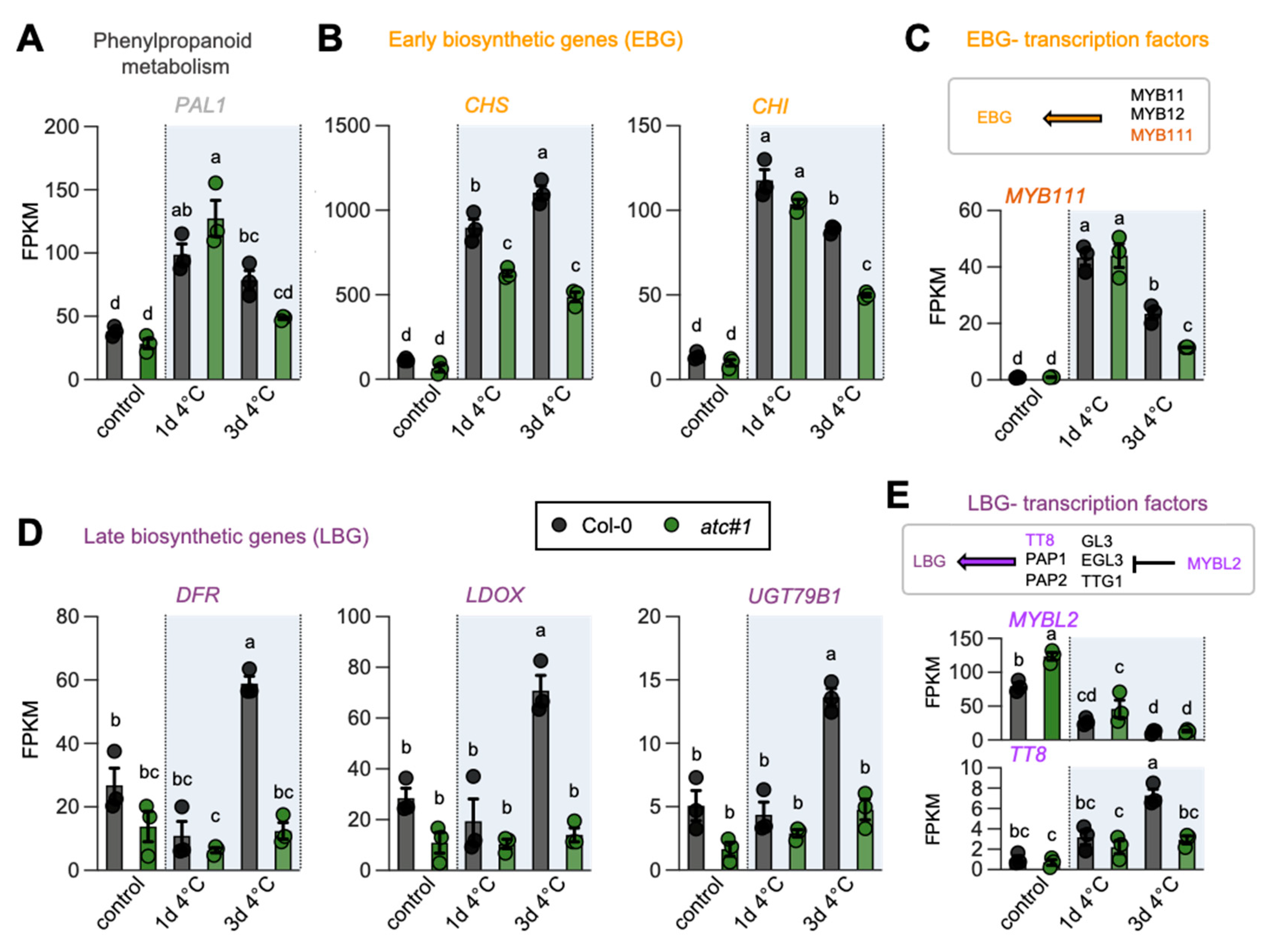 Molecules 28 01585 g005