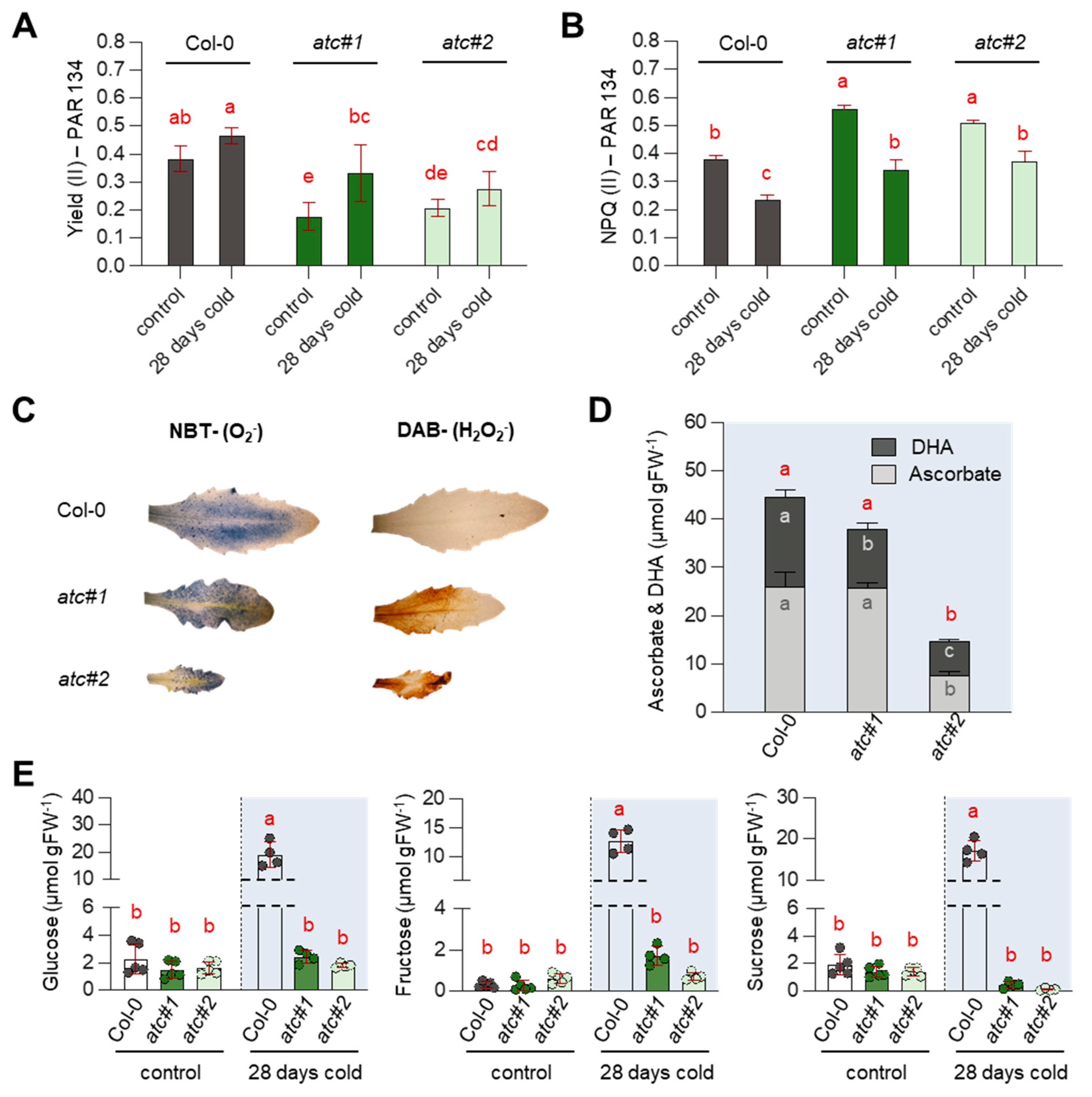 Molecules 28 01585 g006