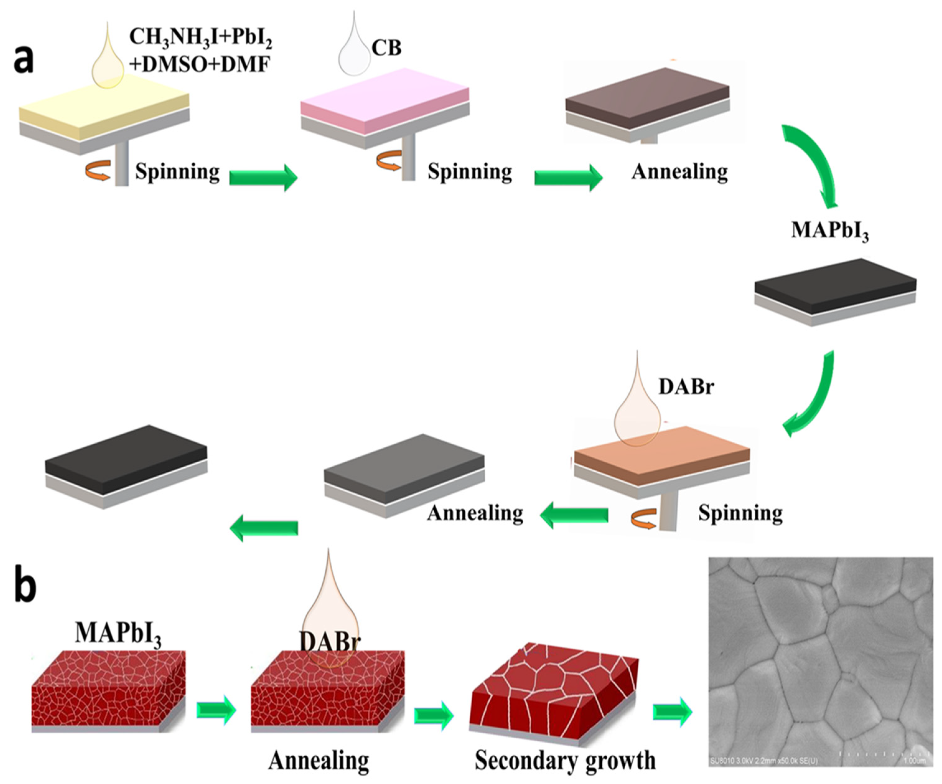 Molecules 28 01592 g001