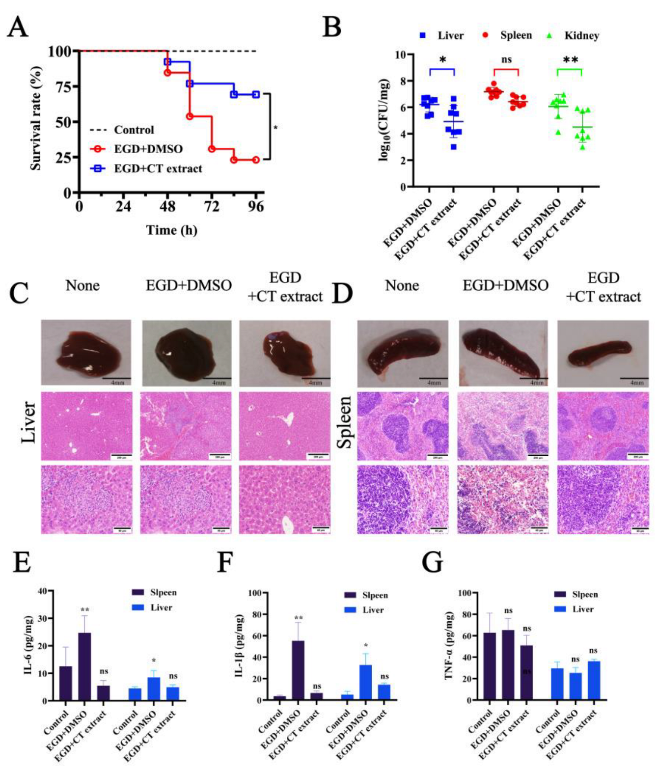 Molecules 28 01625 g006