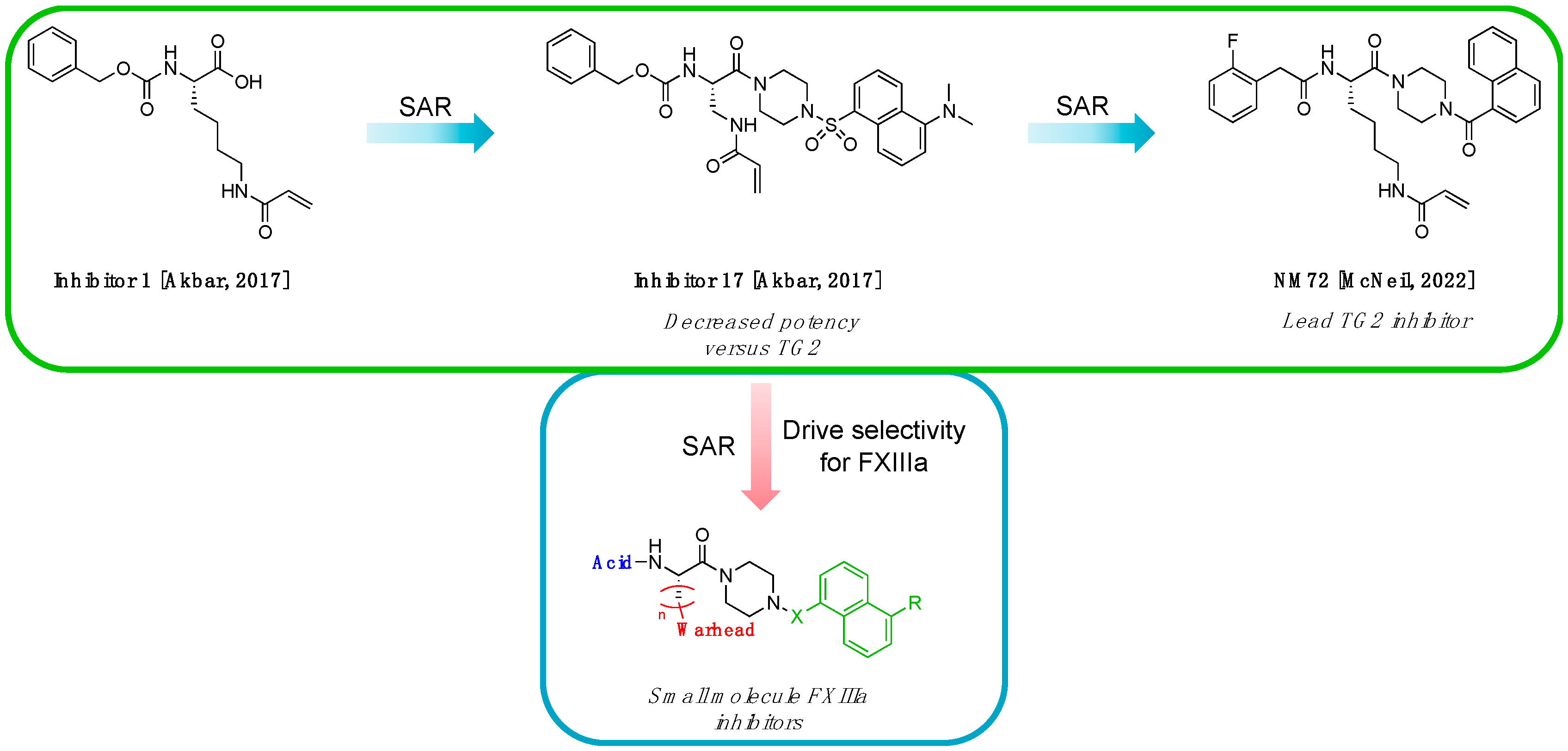 Molecules 28 01634 g003