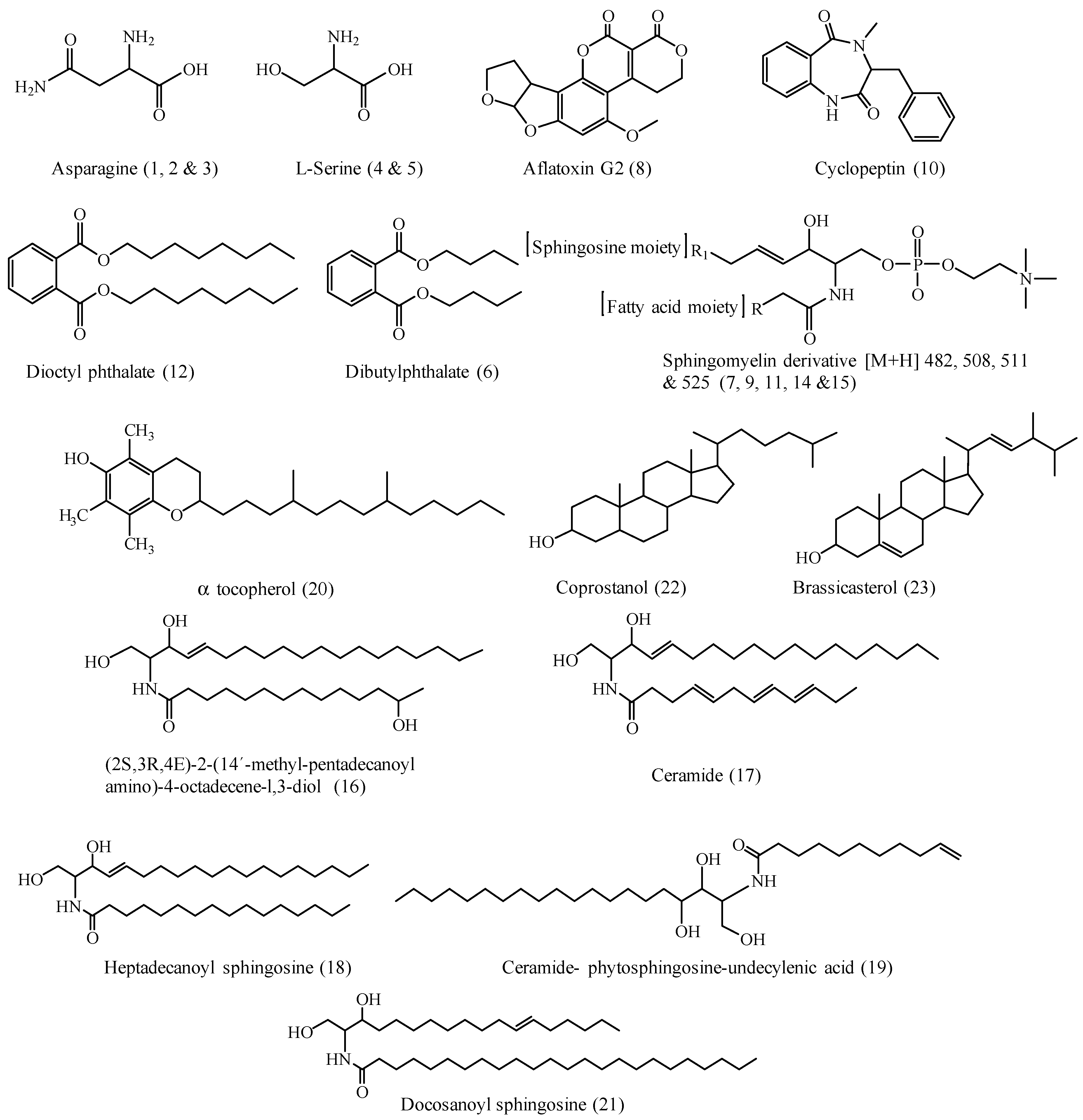 Molecules | Free Full-Text | Metabolites Profiling and In Vitro ...