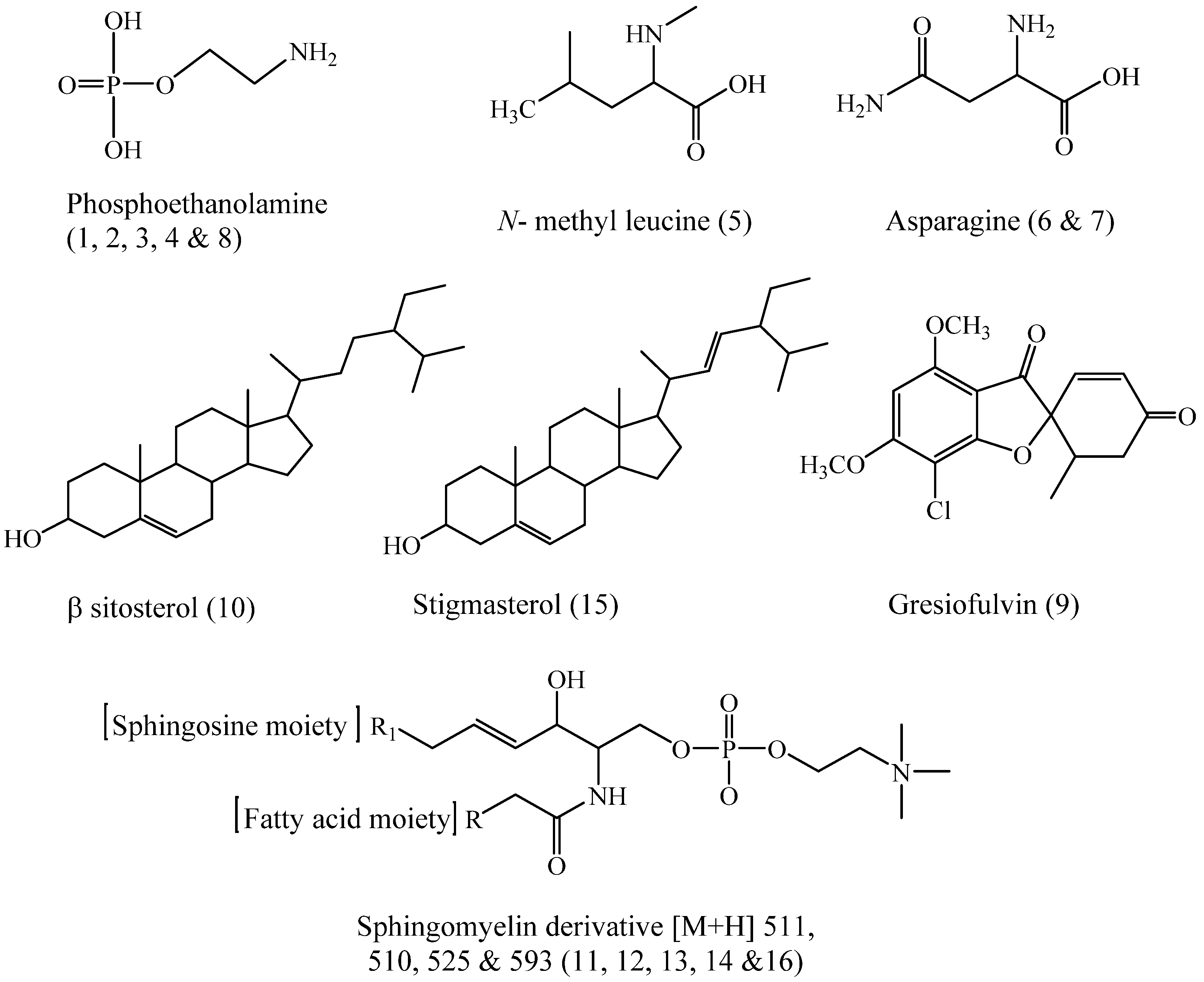 Molecules 28 01643 g006