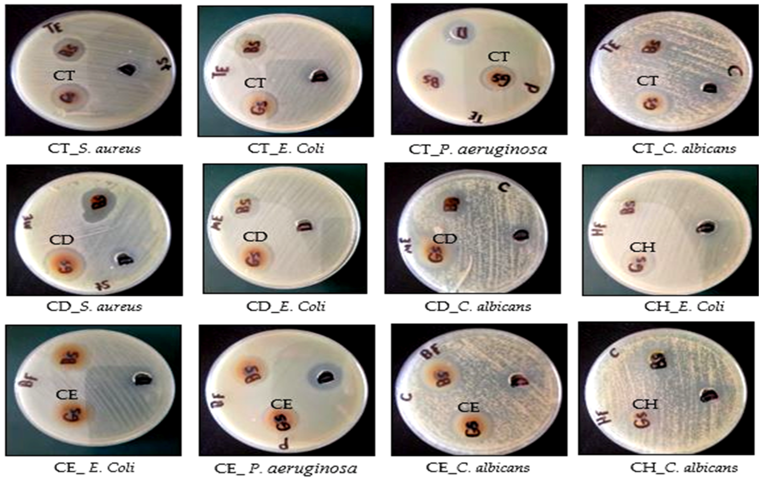 Molecules 28 01643 g009