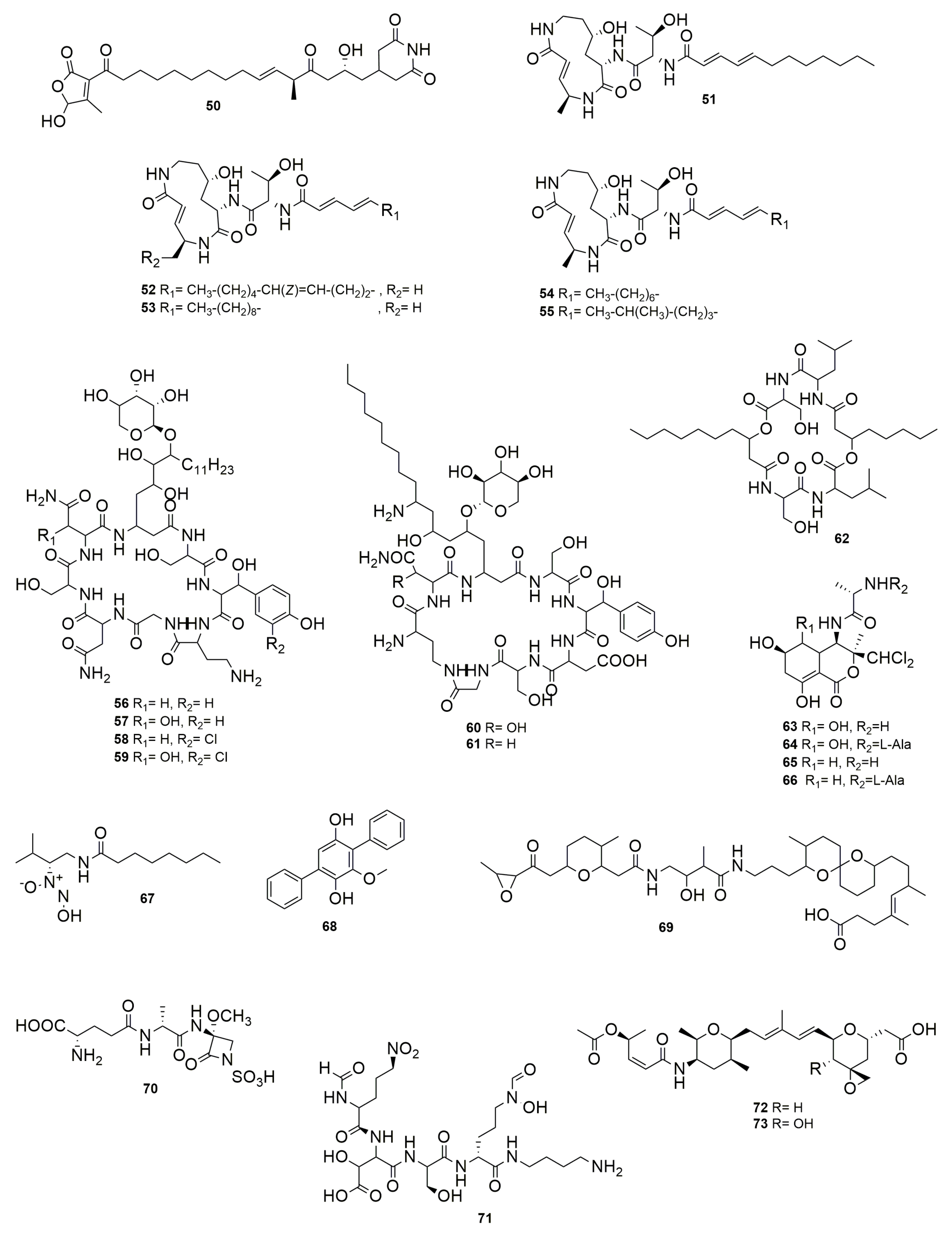 Molecules 28 01646 g008