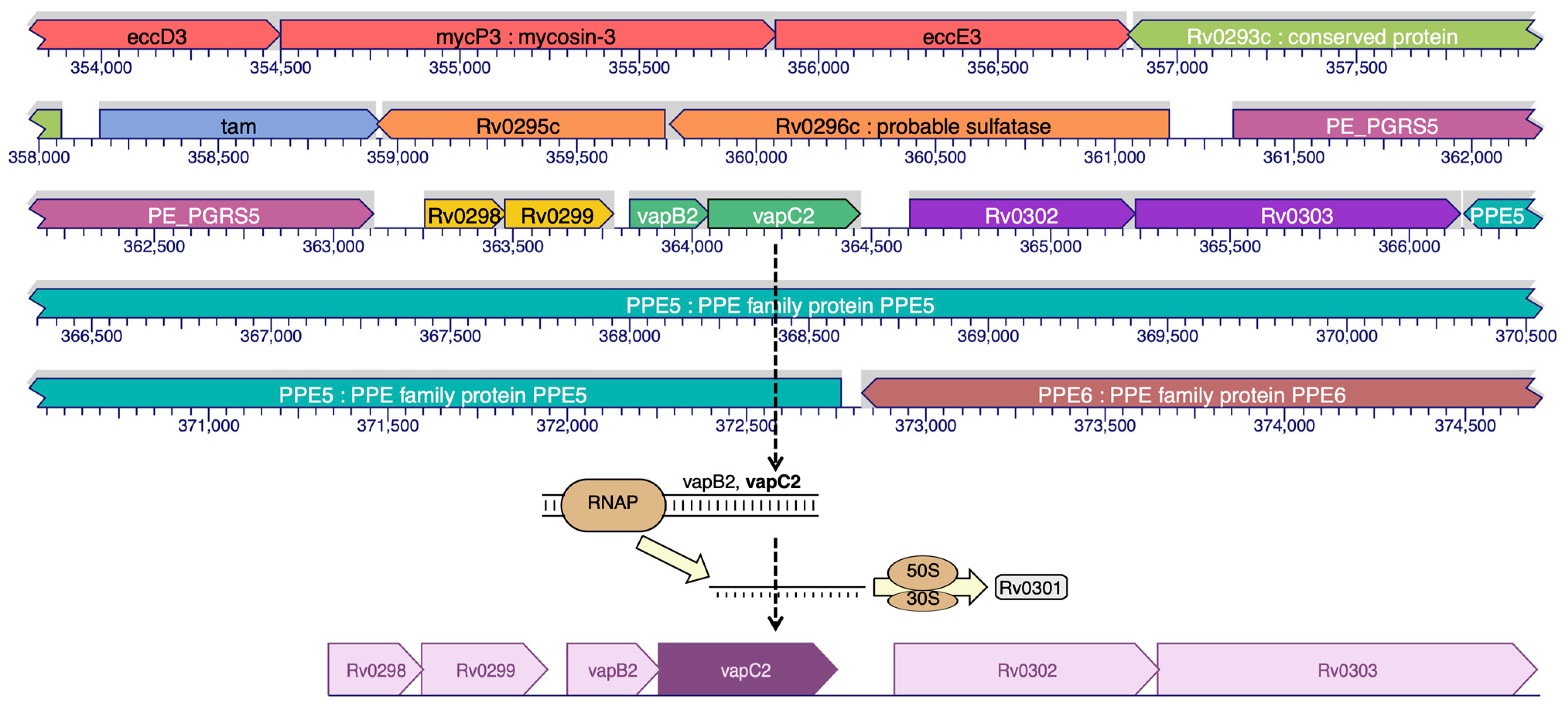 Molecules 28 01652 g001 Molecules 28 01652 g001