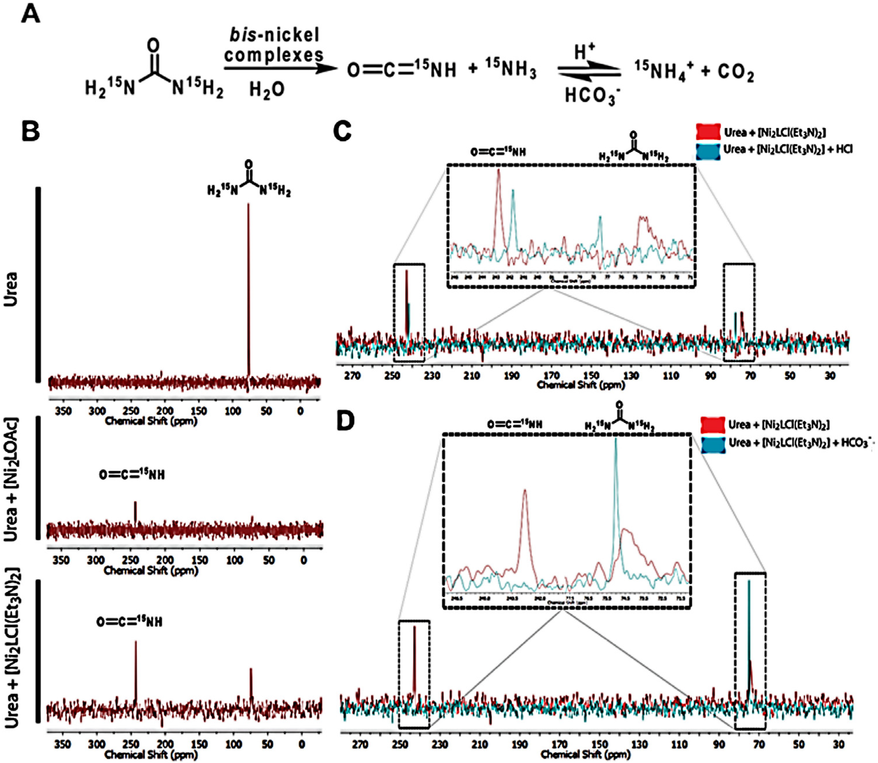 Molecules Free Full Text Urea Decomposition Mechanism by