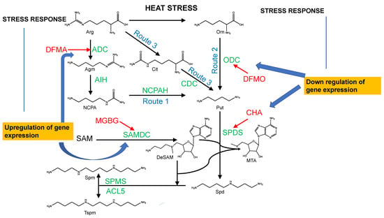 Molecules Free Full Text An Undefined Interaction between