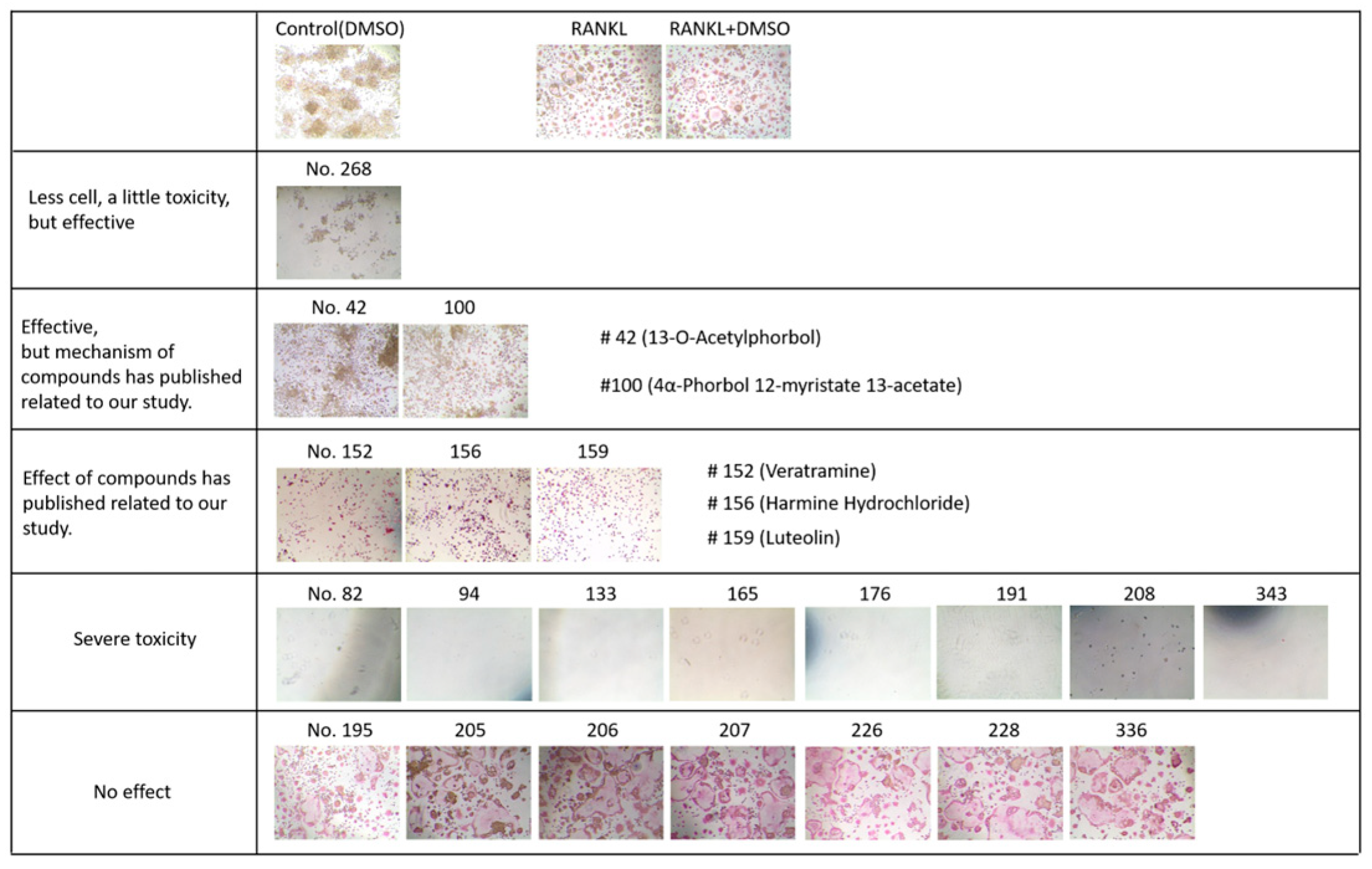 Molecules 28 01693 g002