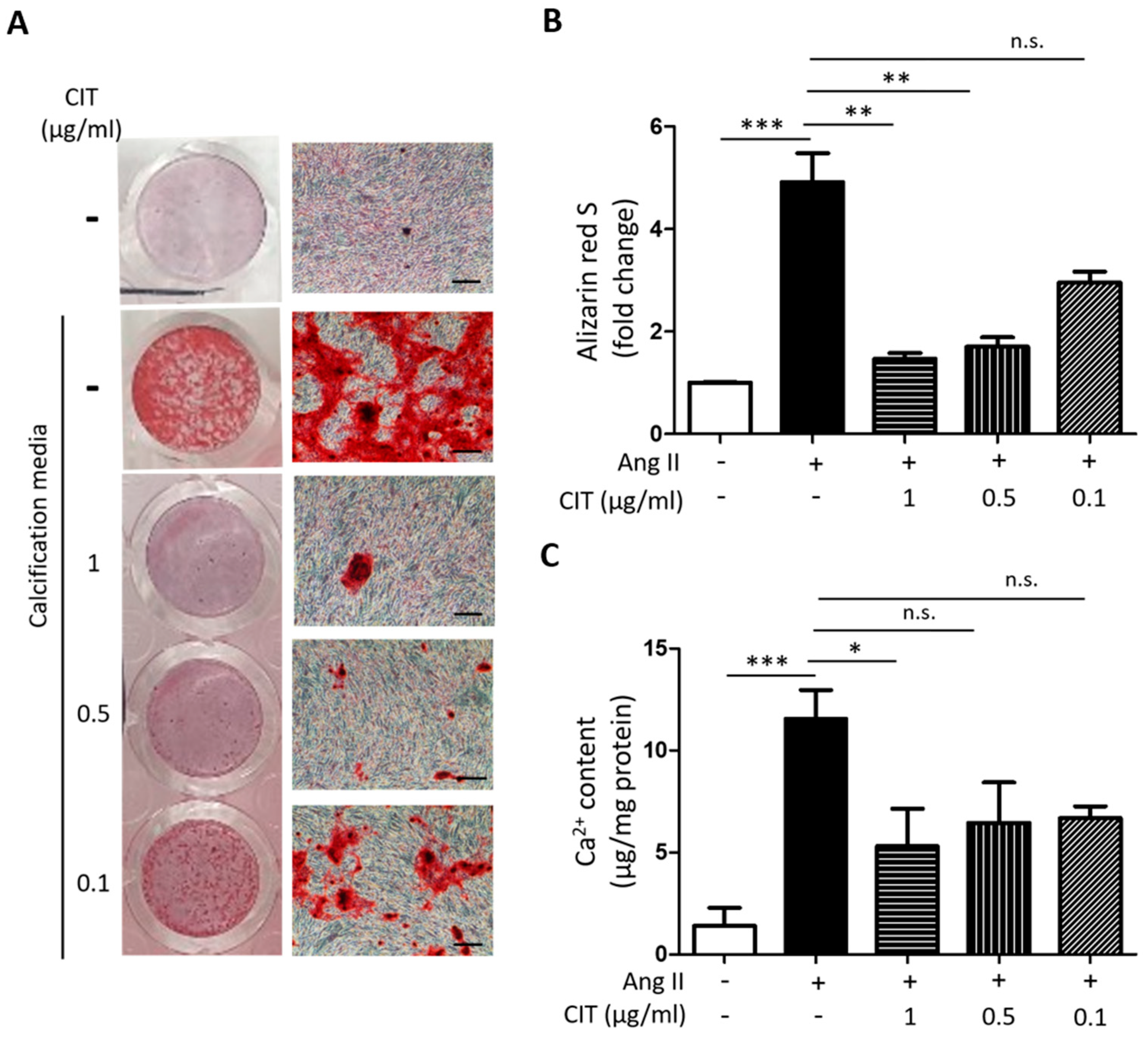 Molecules 28 01693 g004
